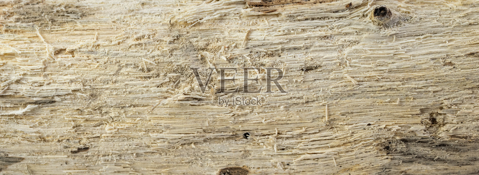 腐烂的带树皮的木头背景或纹理照片摄影图片