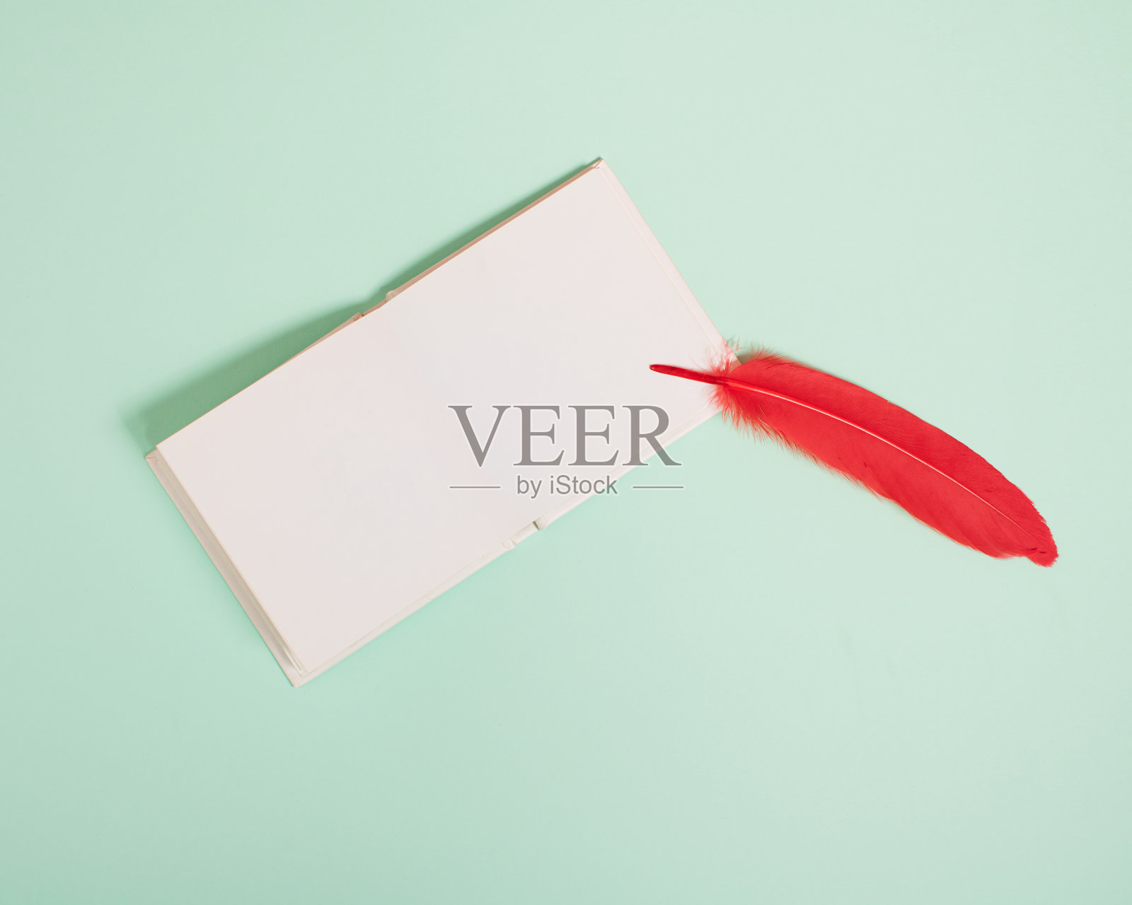 空白的白色页准备写爱的笔记与红色的羽毛在柔和的薄荷绿色背景。最小的情人节概念与复制空间。给所爱的人的信息。照片摄影图片