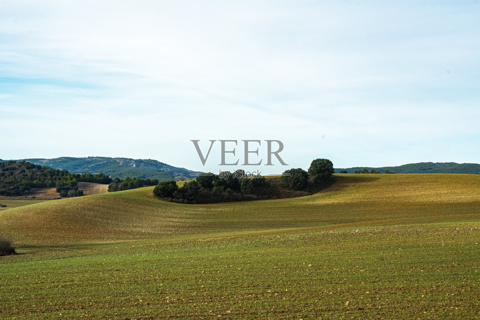 在中间照片摄影图片