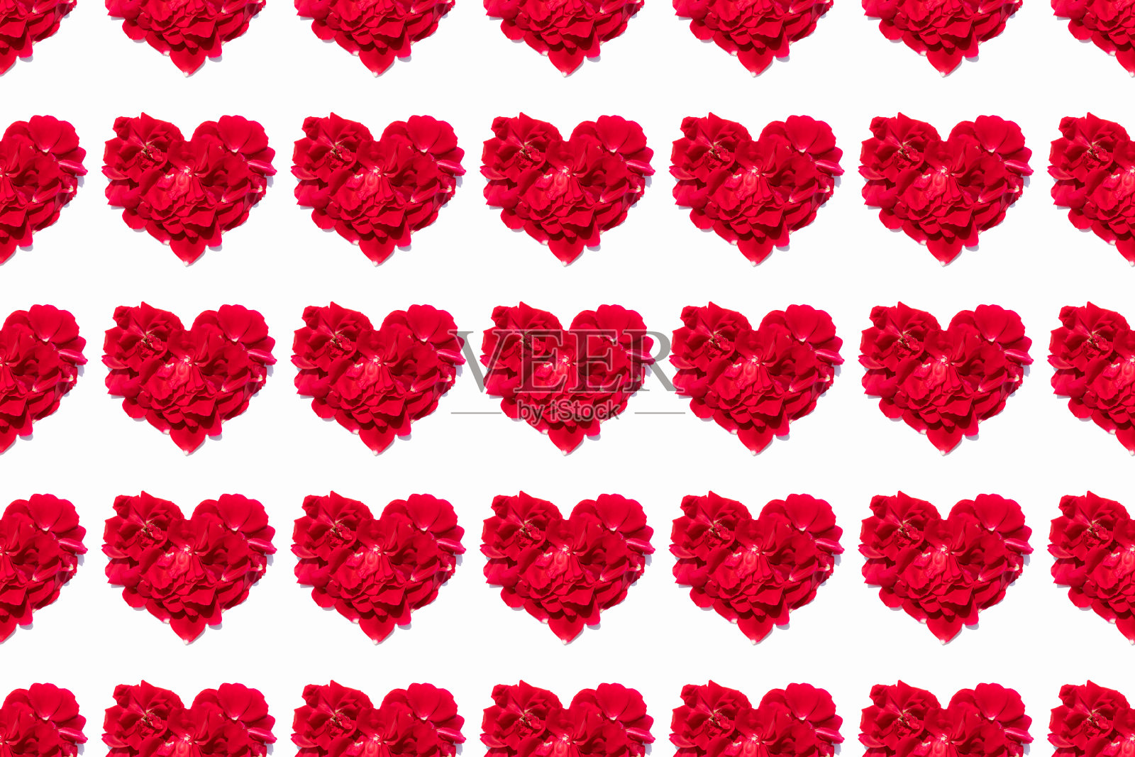 心形玫瑰花瓣图案。假日包装图纸。照片摄影图片