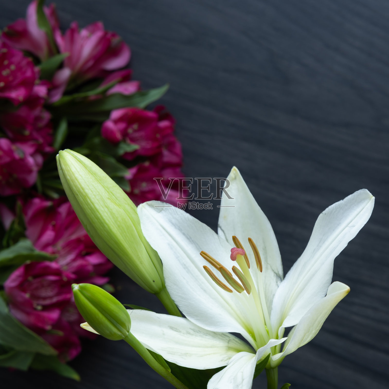 白色百合，有粉红色的花背景照片摄影图片