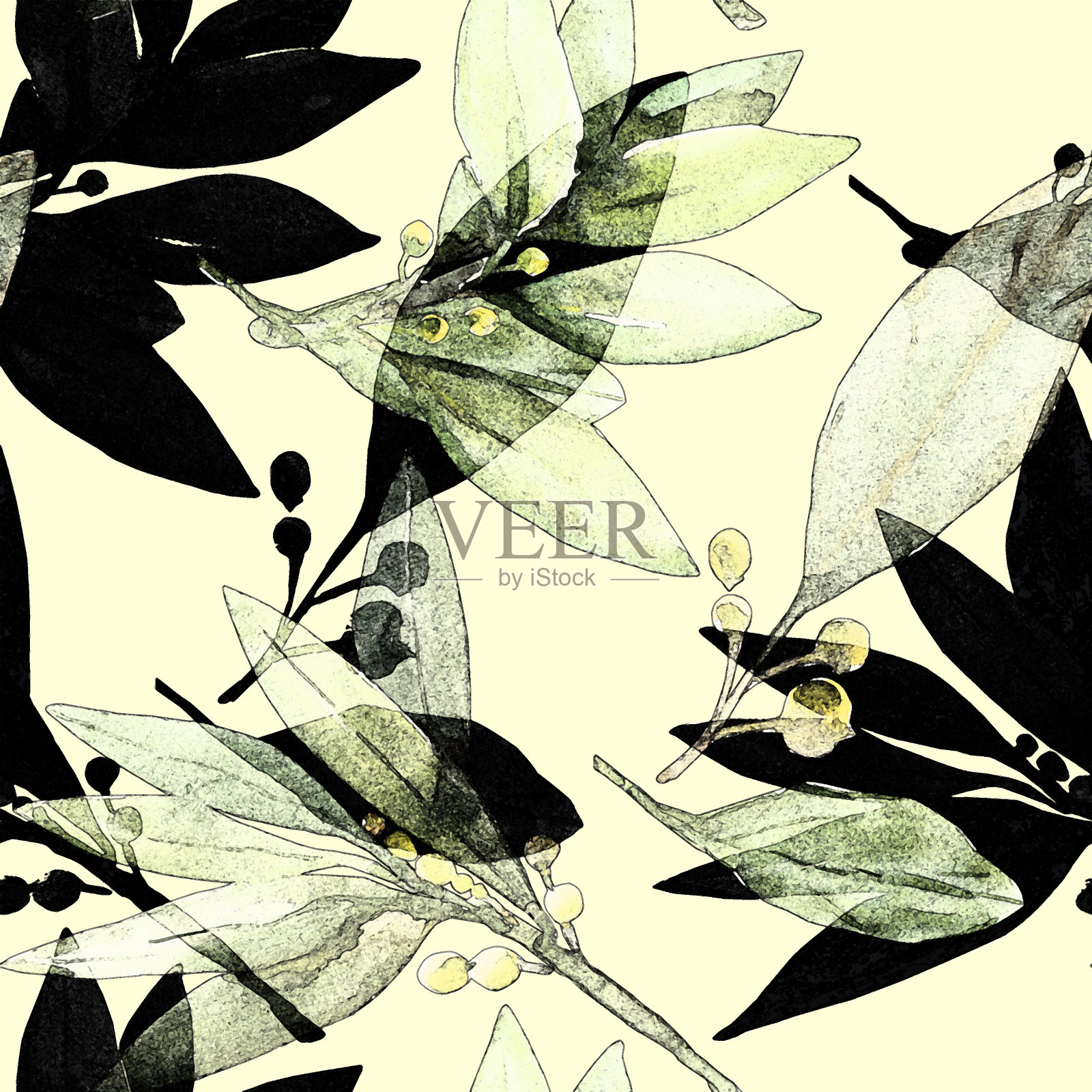 模式树月桂树插画图片素材