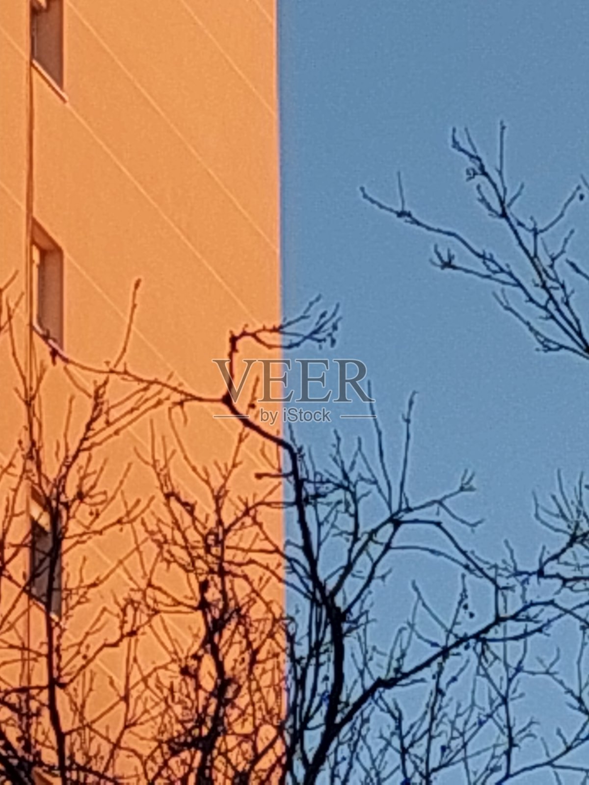 冬天的颜色照片摄影图片