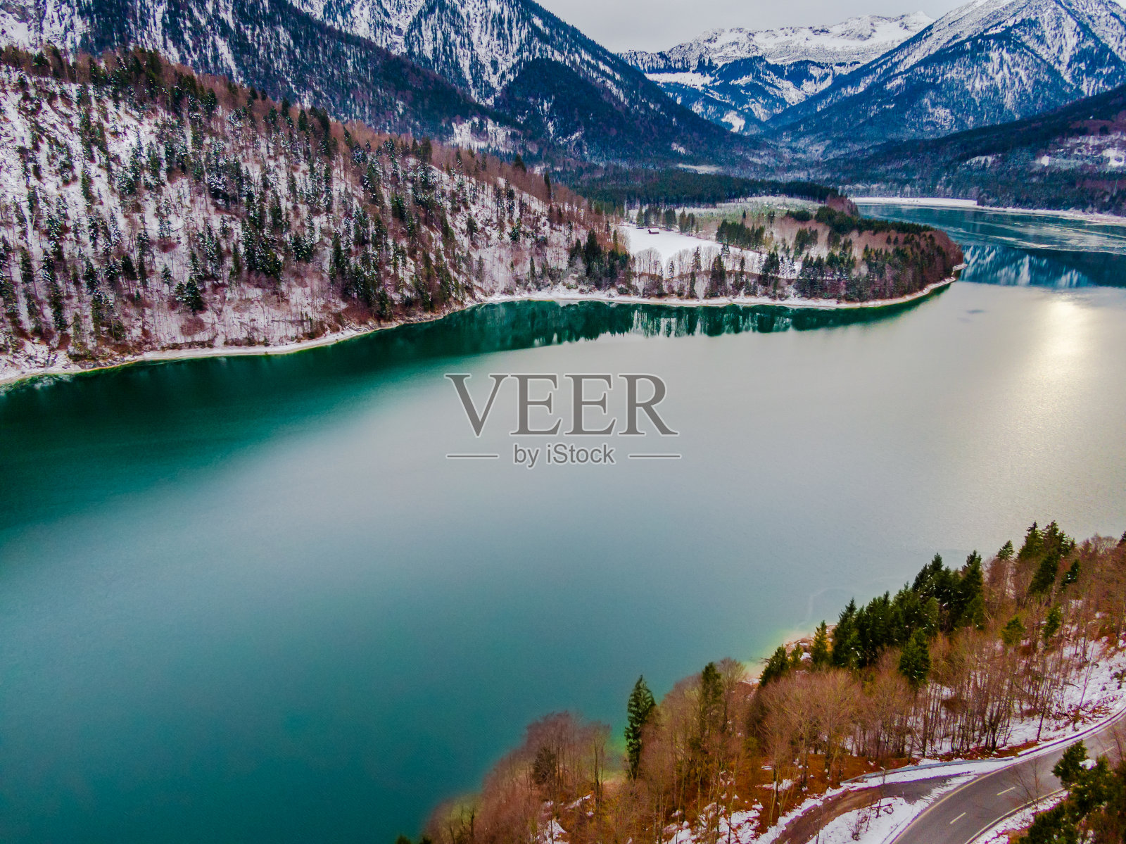 冬季树木-航拍照片照片摄影图片