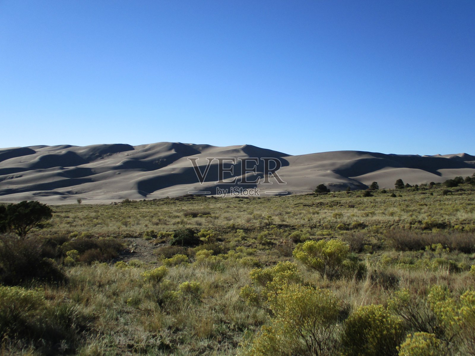 大沙丘照片摄影图片