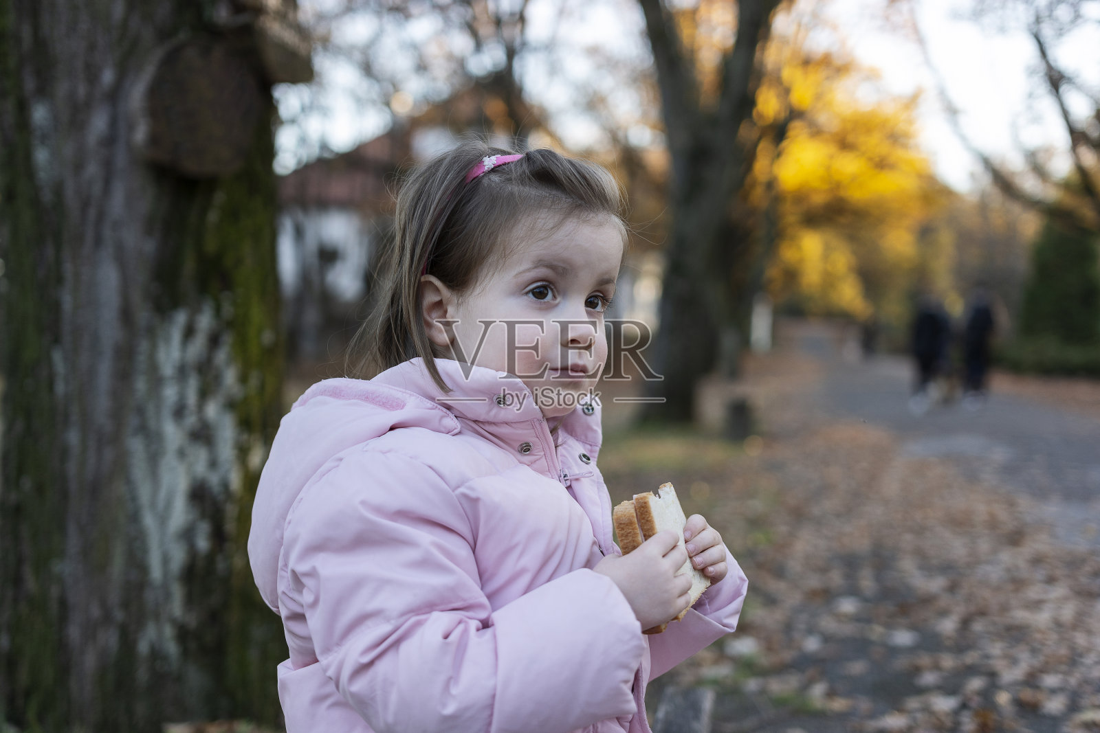 孩子在公园里吃三明治照片摄影图片