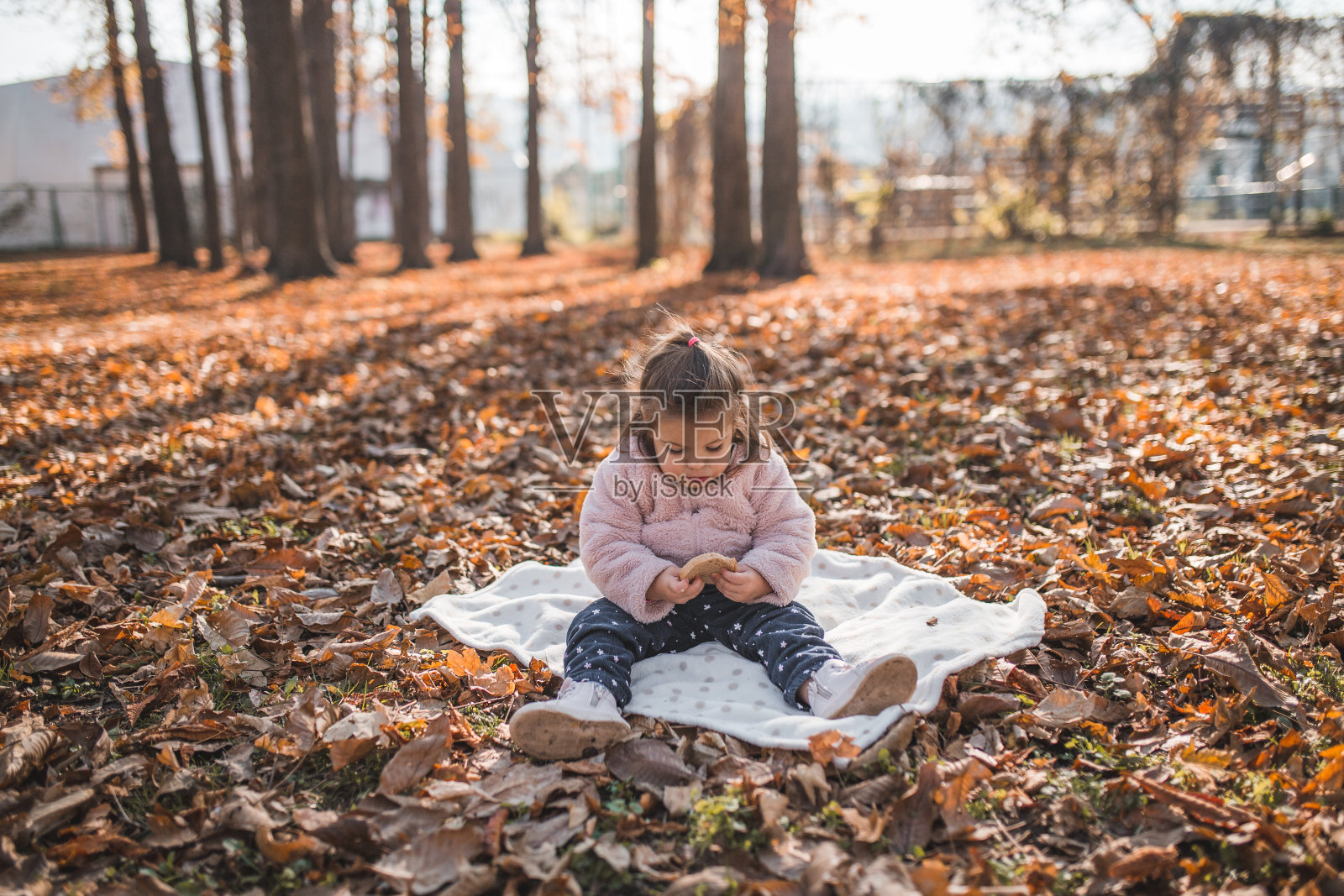 秋天的一天，两岁的小女孩坐在公园的毯子上吃着面包照片摄影图片