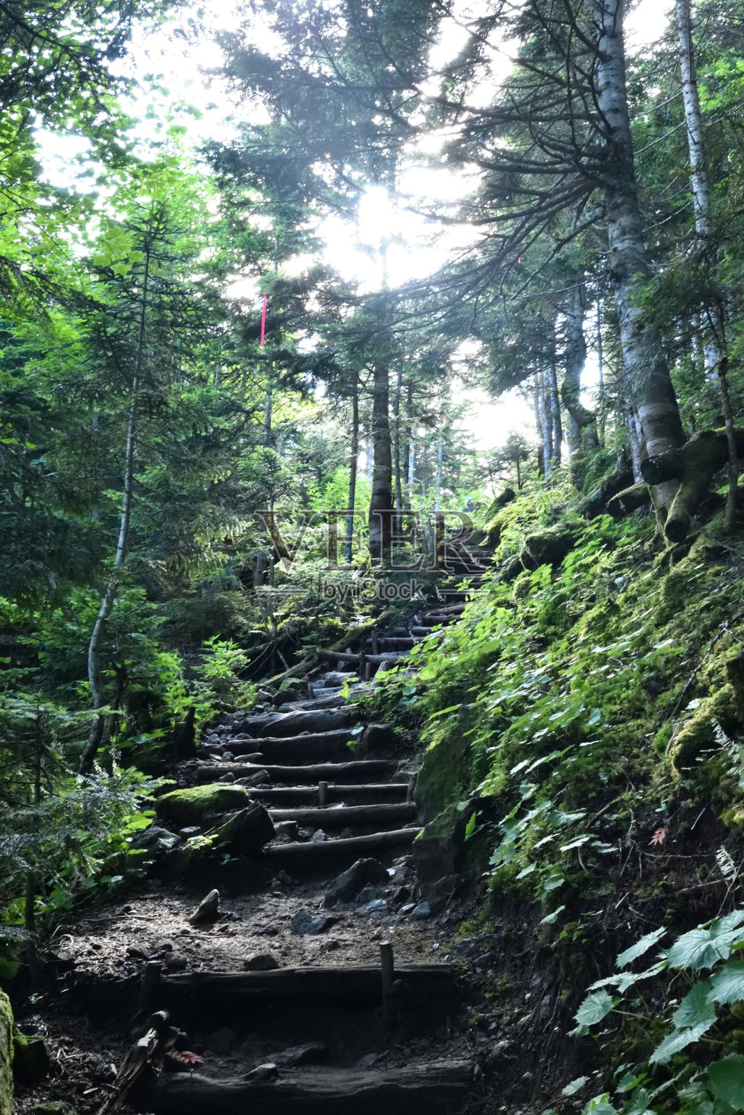 从丸沼到日本枥木县白连山照片摄影图片