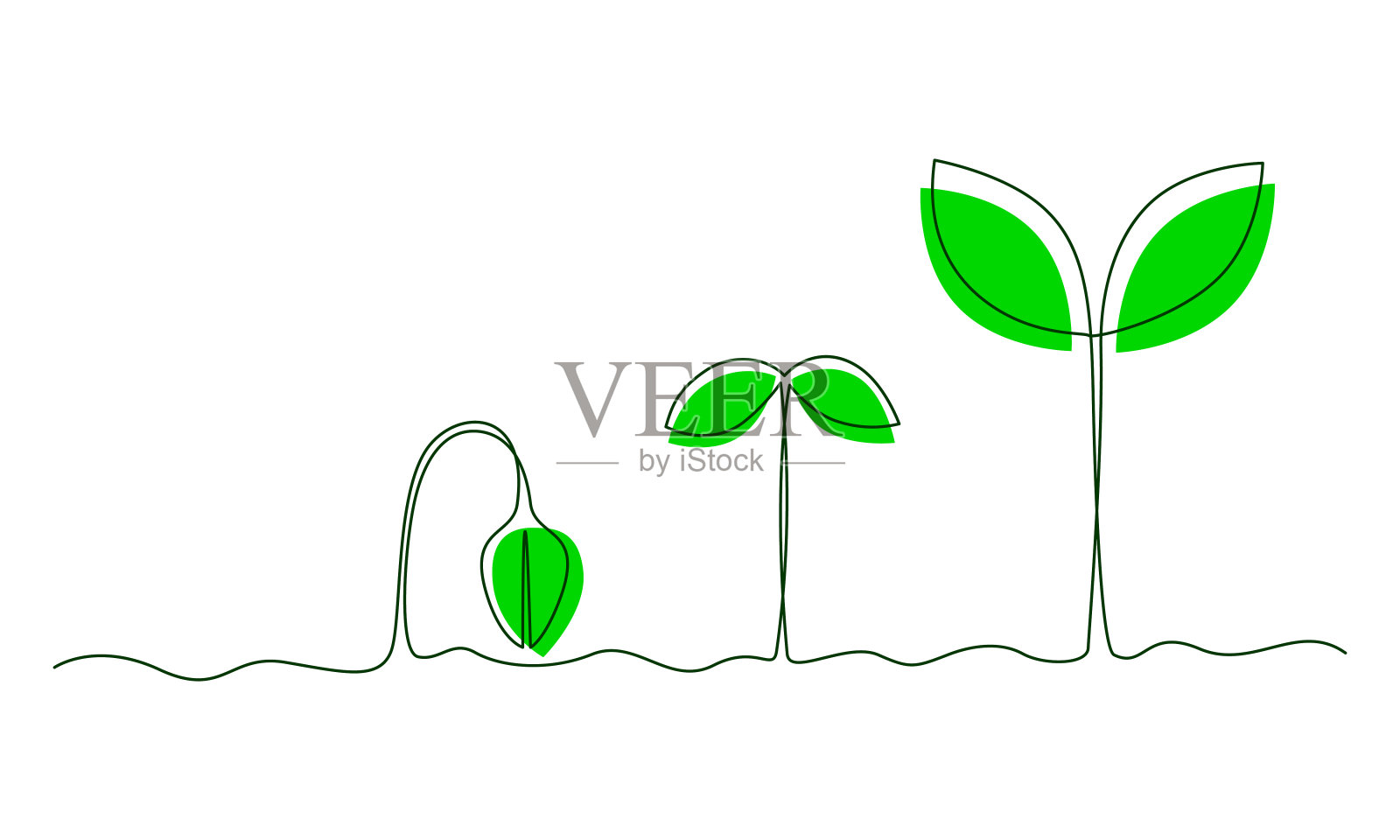一条连续的植物生长阶段线。环保理念，地球日插画图片素材