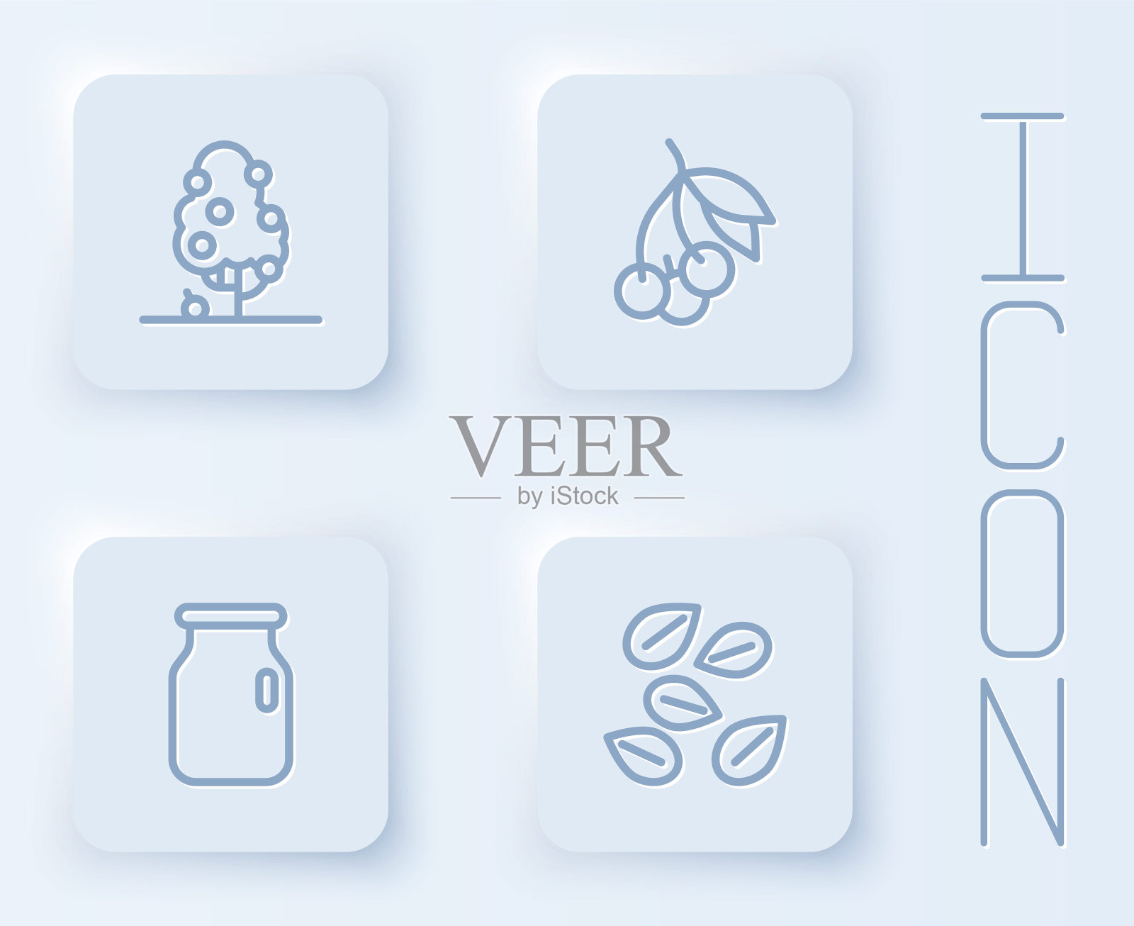 成套果树、新鲜浆果、带螺旋盖的玻璃罐及特定植物种子。白色正方形按钮。向量插画图片素材