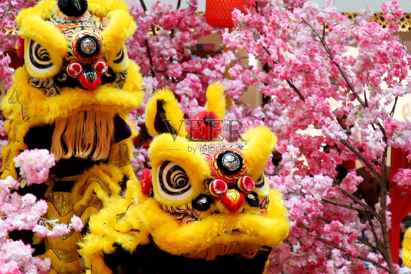 杂技舞狮表演照片摄影图片