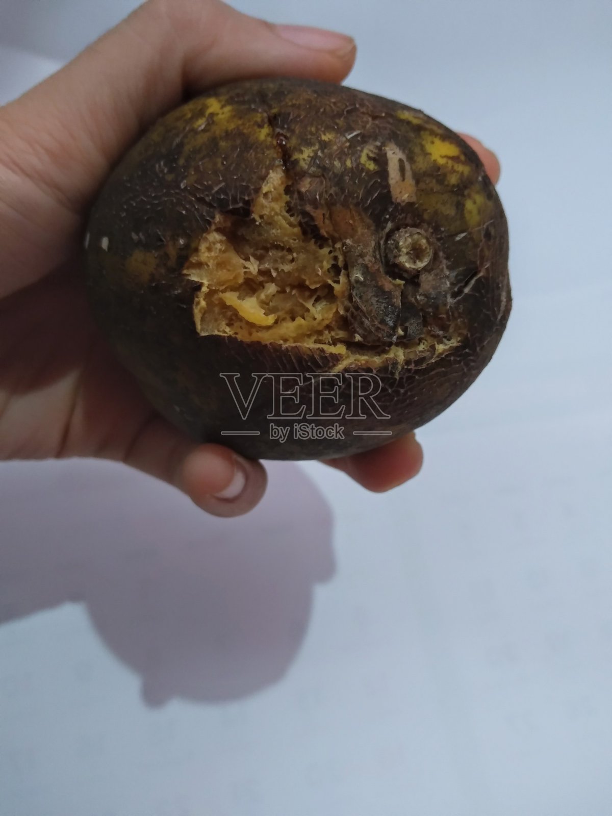 不规则手拿椰子照片摄影图片