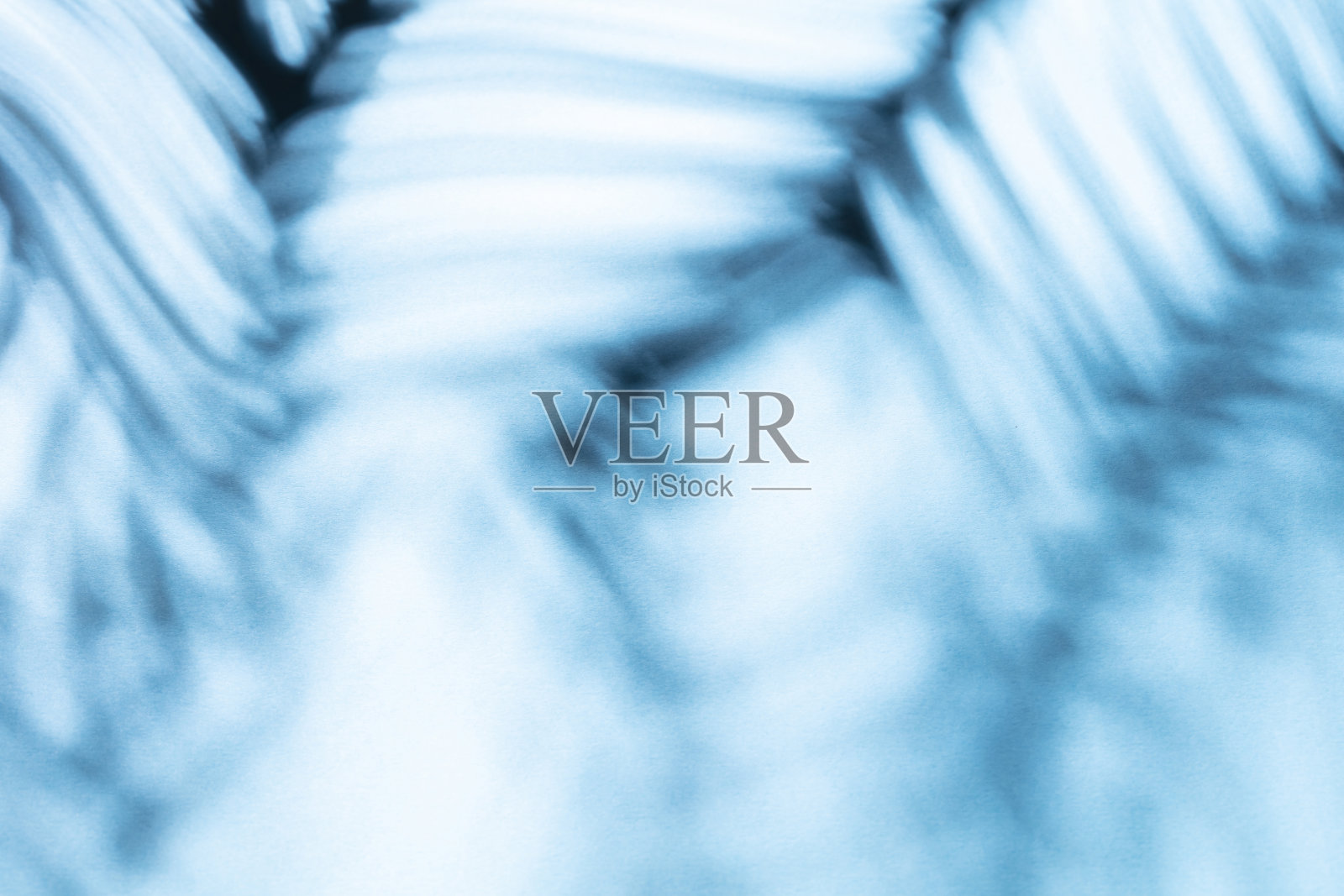 棕榈叶和阴影在彩色墙壁的背景。照片摄影图片