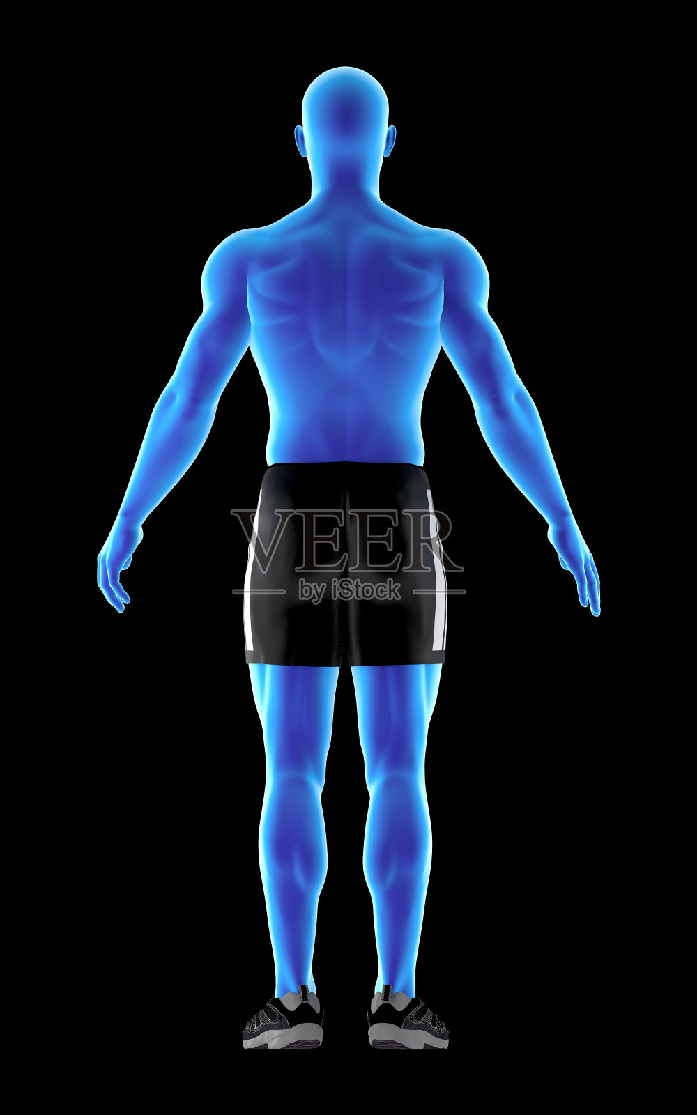 人体解剖的3D插图，一个人的mesomorph身体照片摄影图片