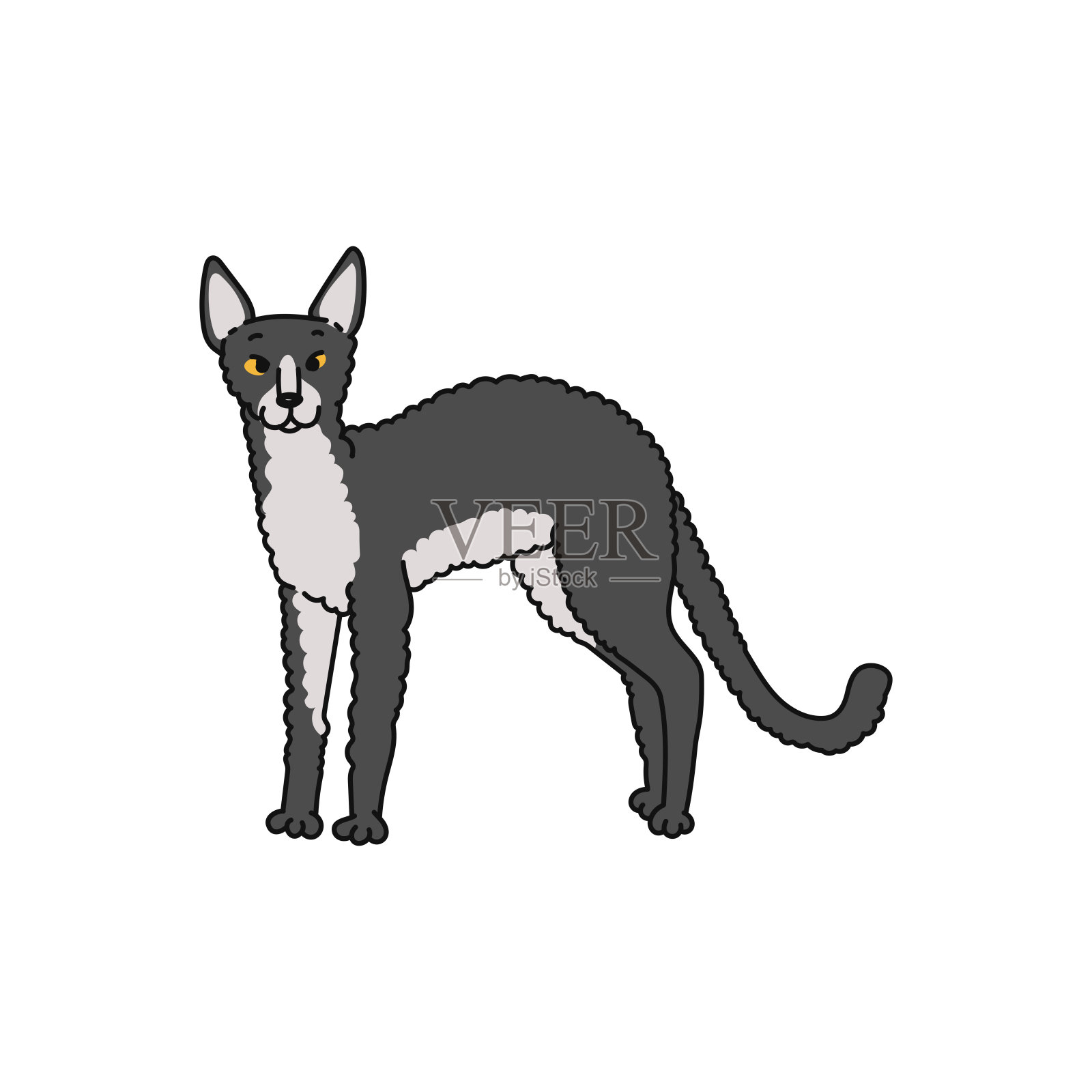 猫品种康沃尔雷克斯轮廓素描涂鸦插图。插画图片素材