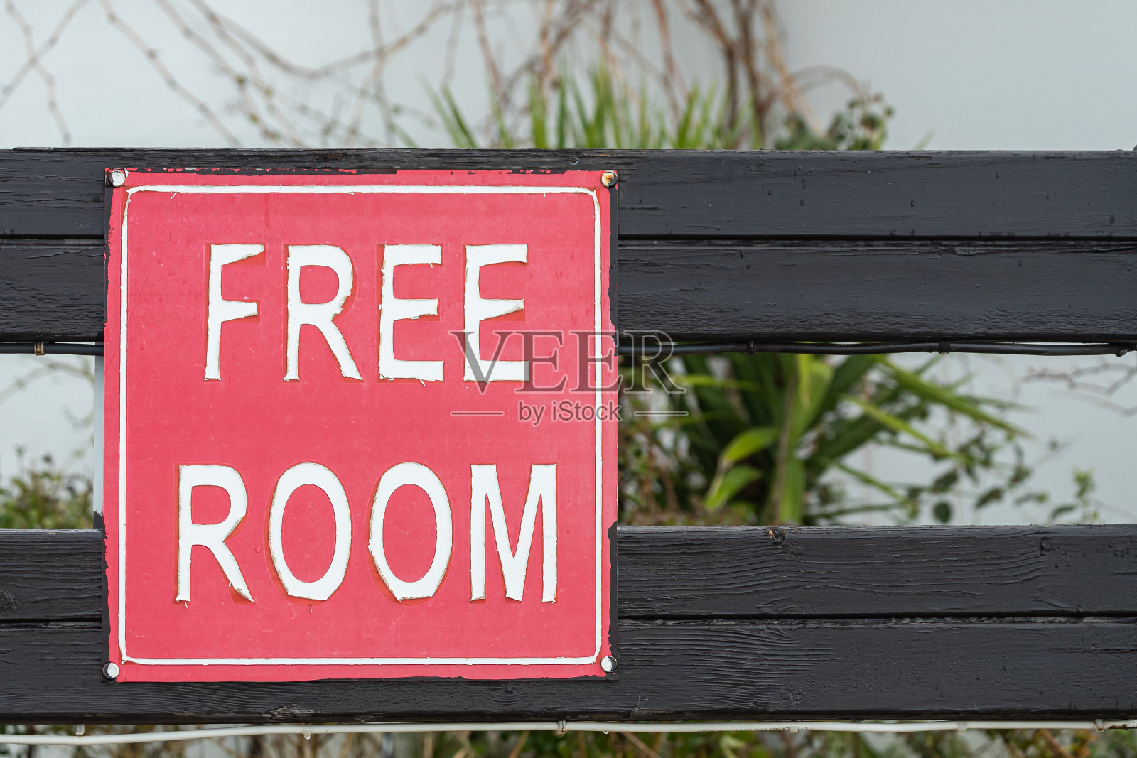 特写镜头照片摄影图片