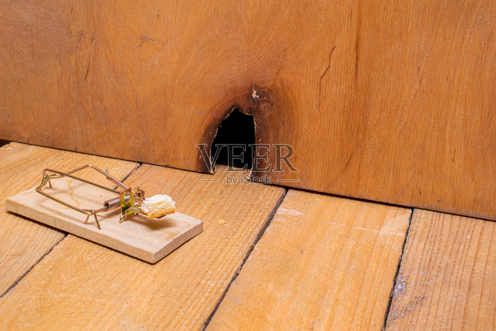 老鼠在墙上打了个洞照片摄影图片