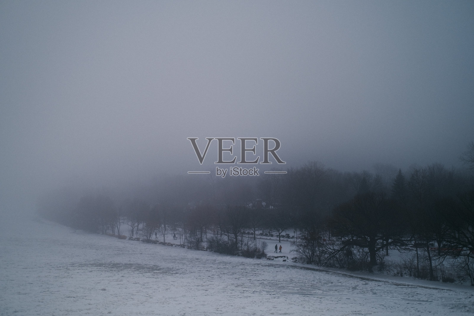 浓雾笼罩着公众照片摄影图片