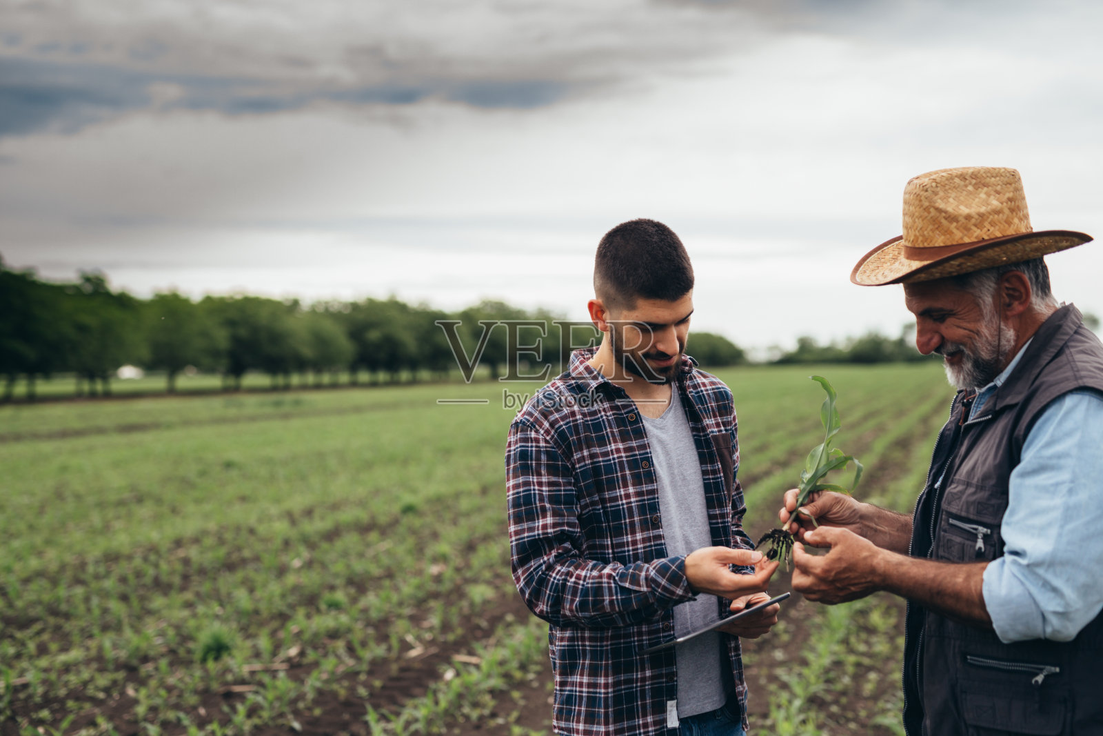 农民在田间交谈照片摄影图片