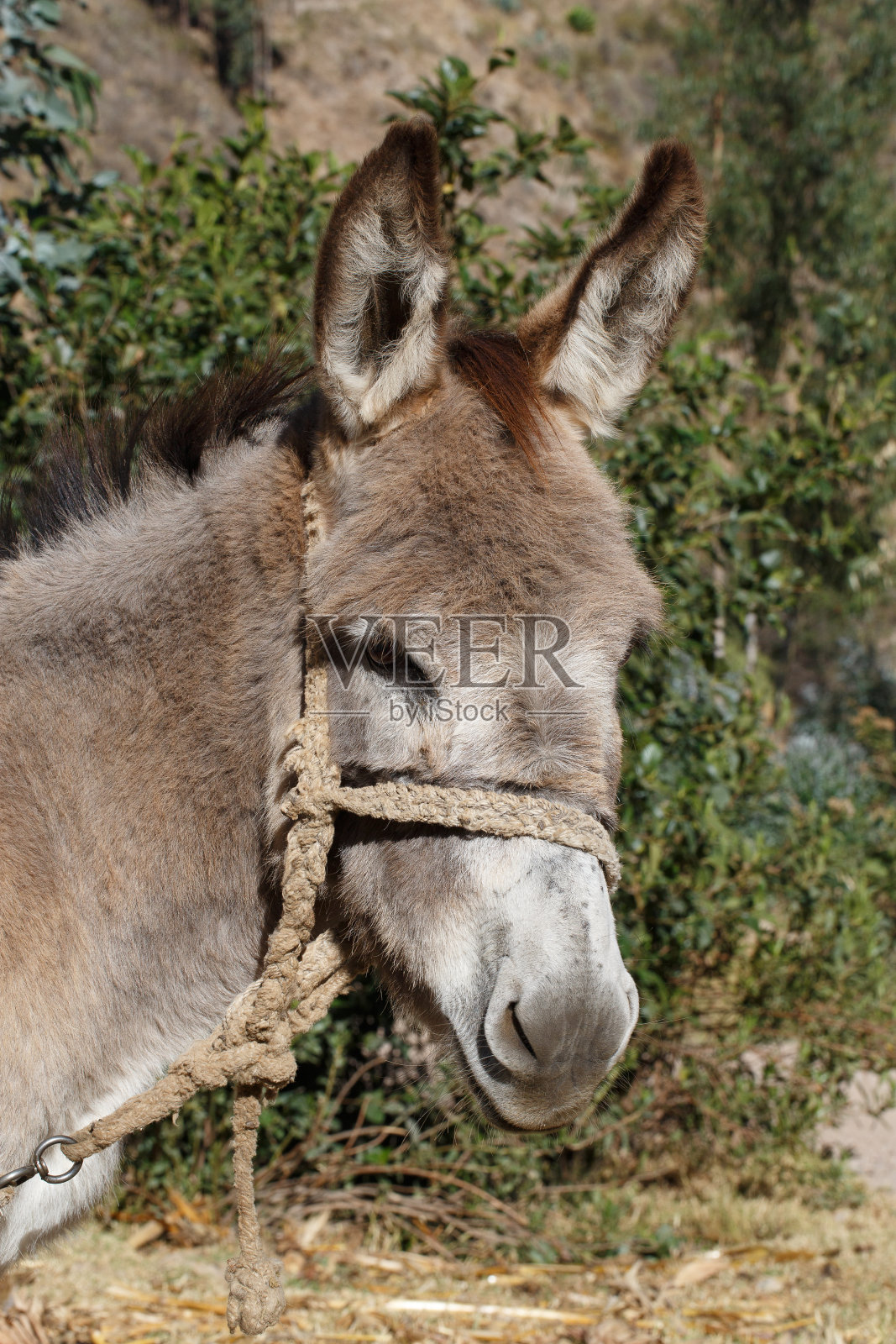 Ancash,秘鲁照片摄影图片