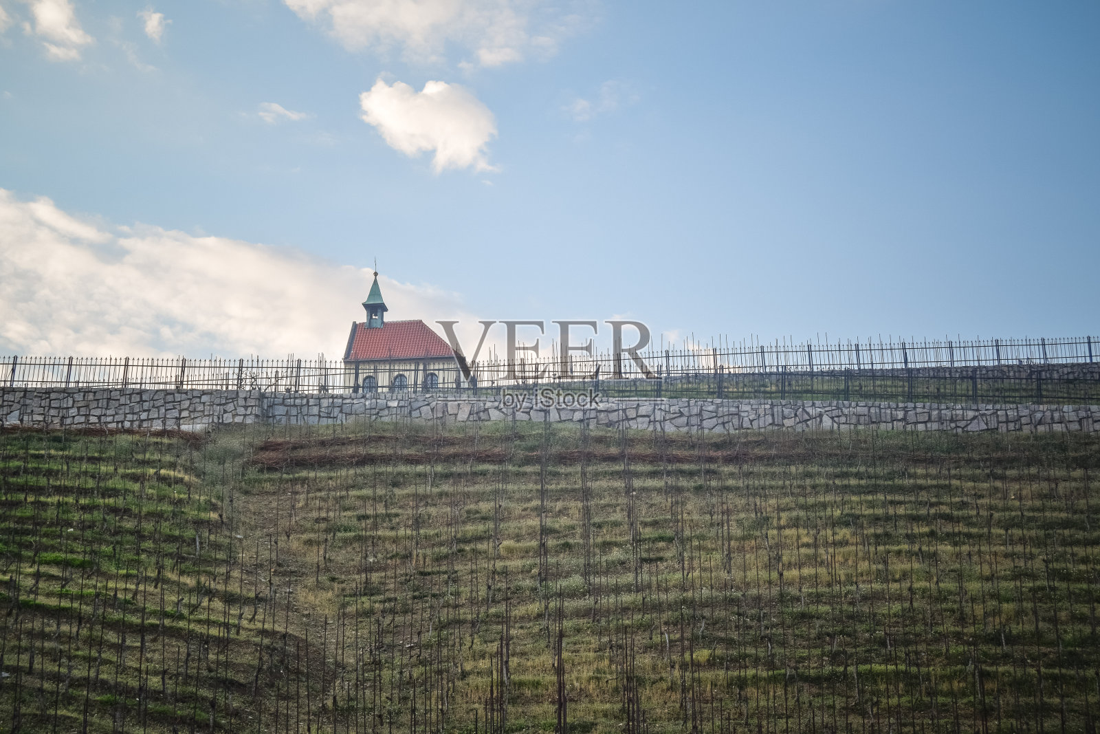 圣克莱尔教堂和下面的葡萄园照片摄影图片