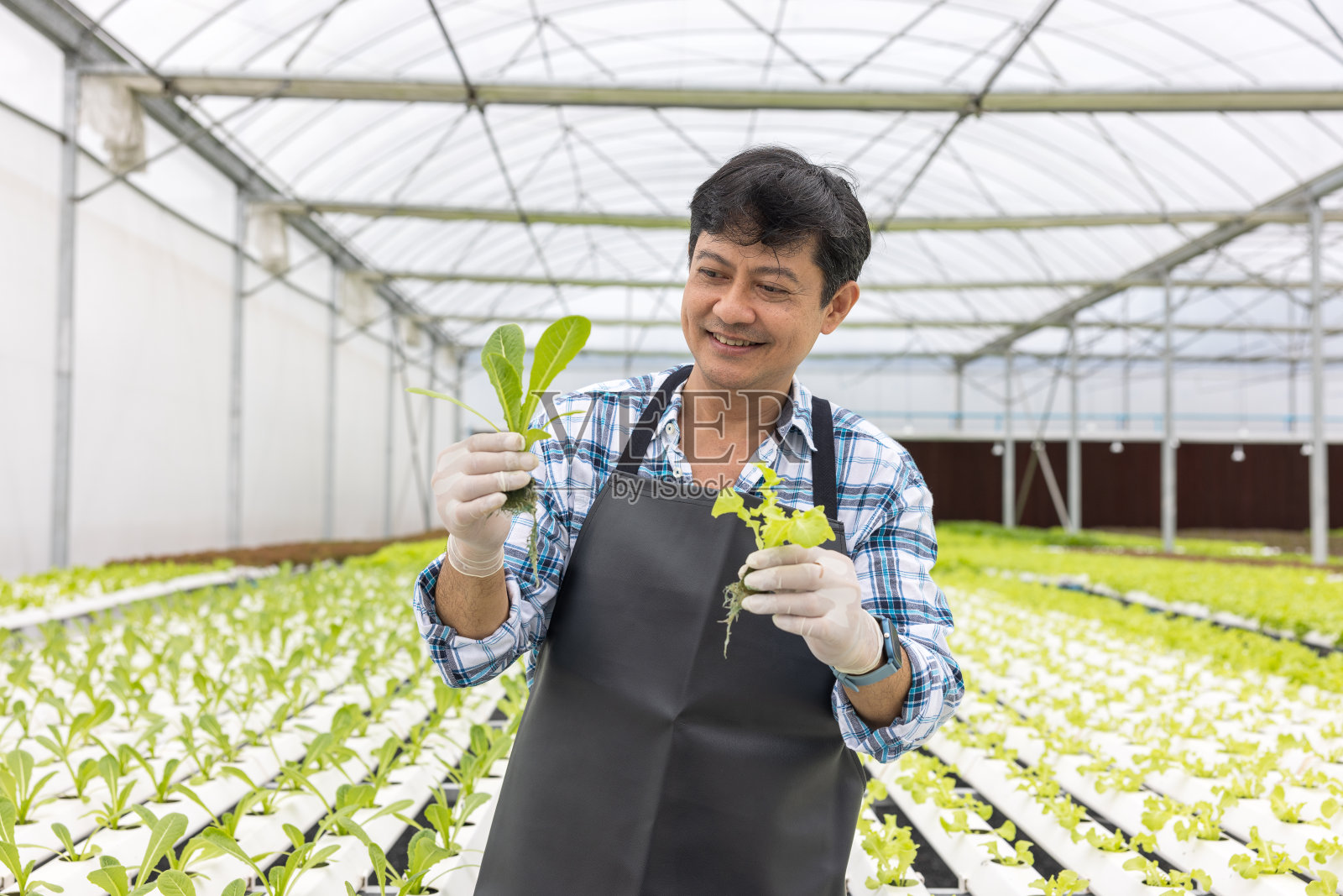 快乐的亚洲农民在农场沙拉生产花园水培无土壤农业温室有机健康食品照片摄影图片