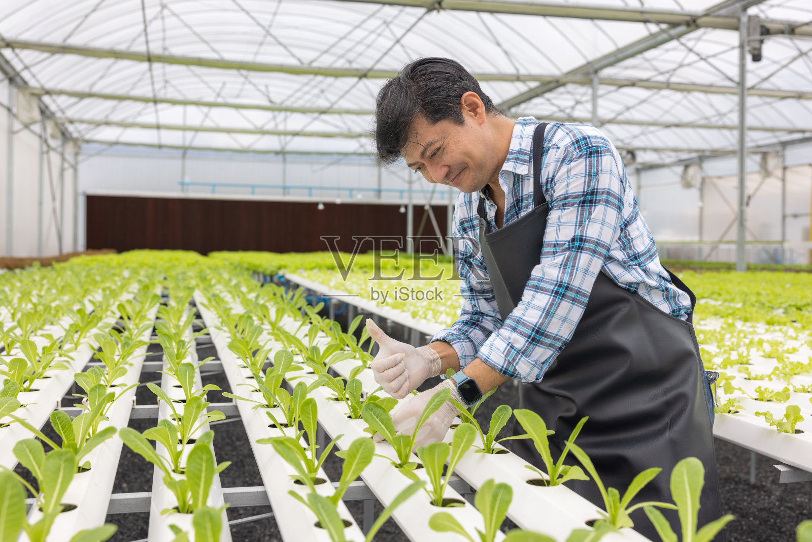 快乐的亚洲农民在农场沙拉生产花园水培无土壤农业温室有机健康食品照片摄影图片