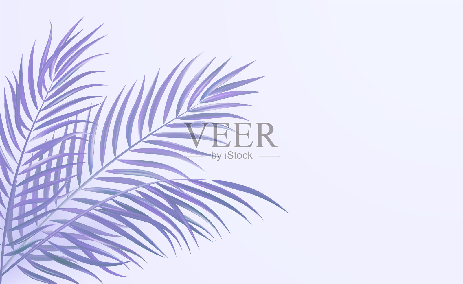 热带棕榈叶角设计颜色背景插画图片素材