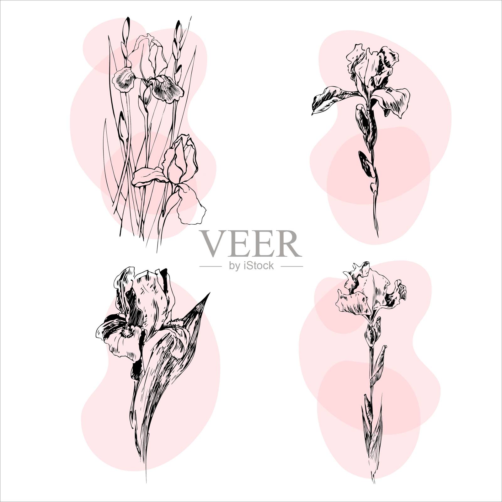 虹膜图标设置在白色背景上插画图片素材