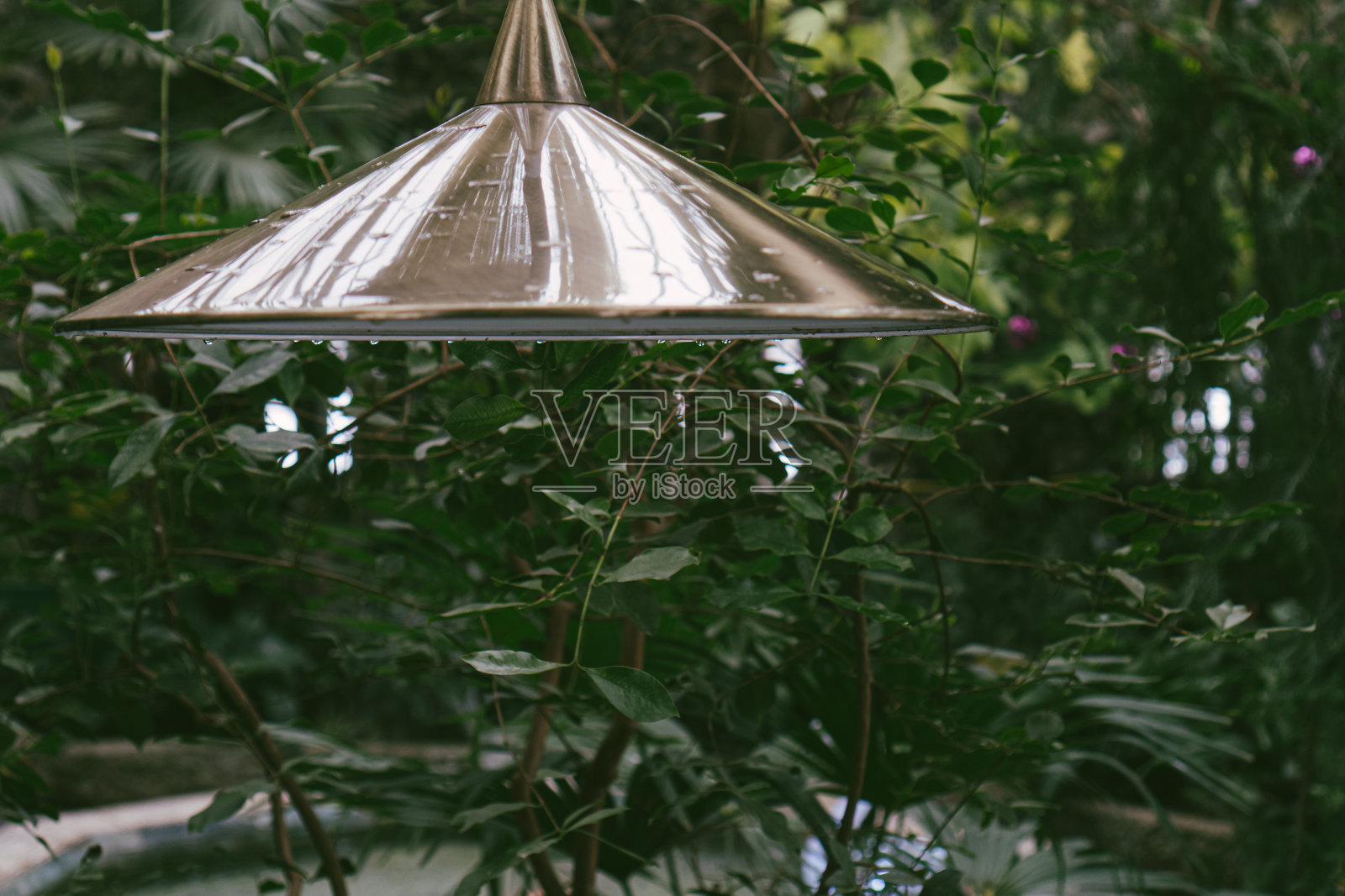 绿色花园中的青铜灯。树木之间的手电筒照片摄影图片