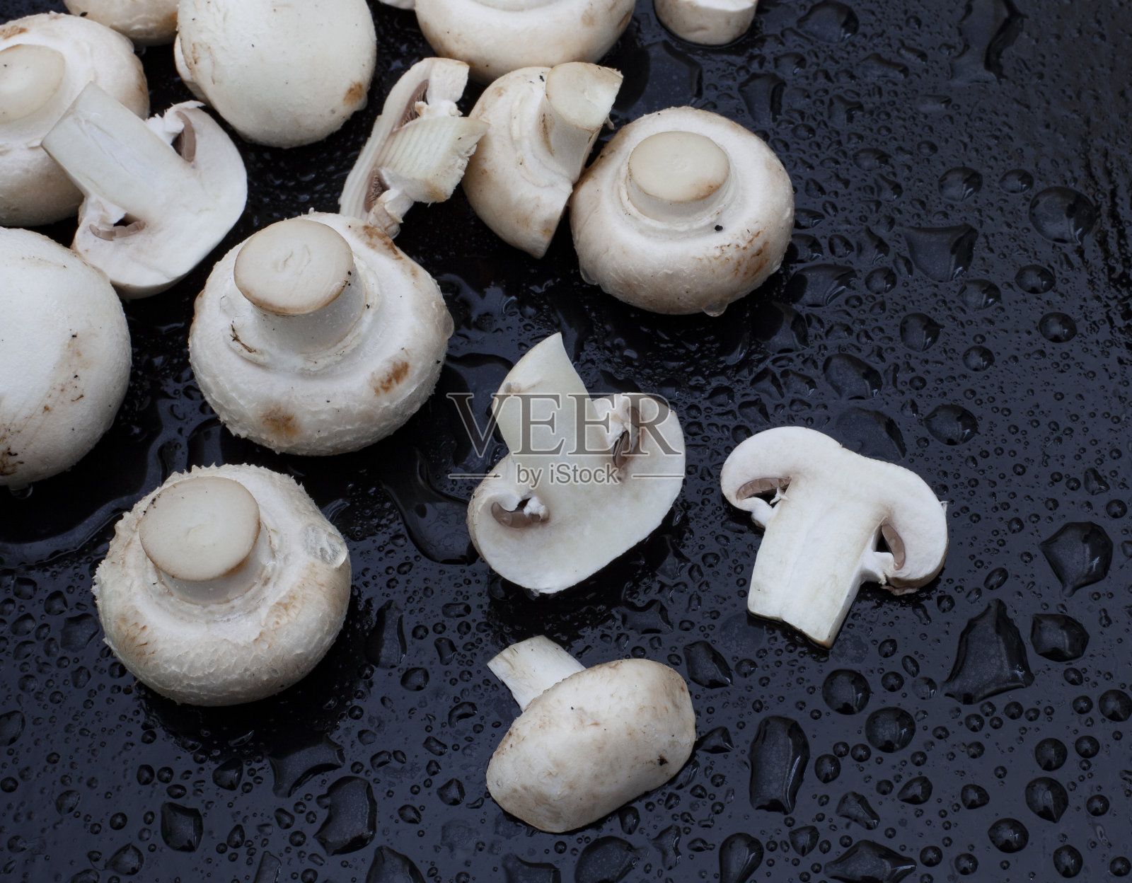 按钮的蘑菇照片摄影图片