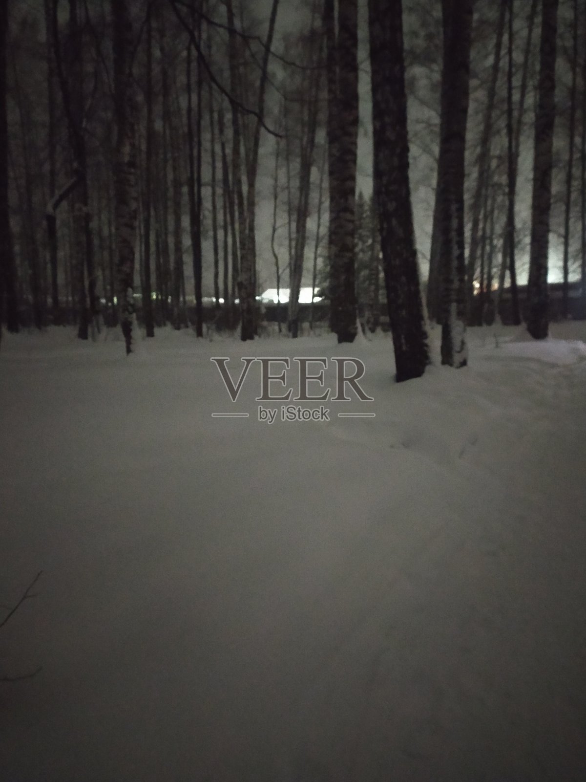 冬天的风景。雪。树在雪地里。照片摄影图片