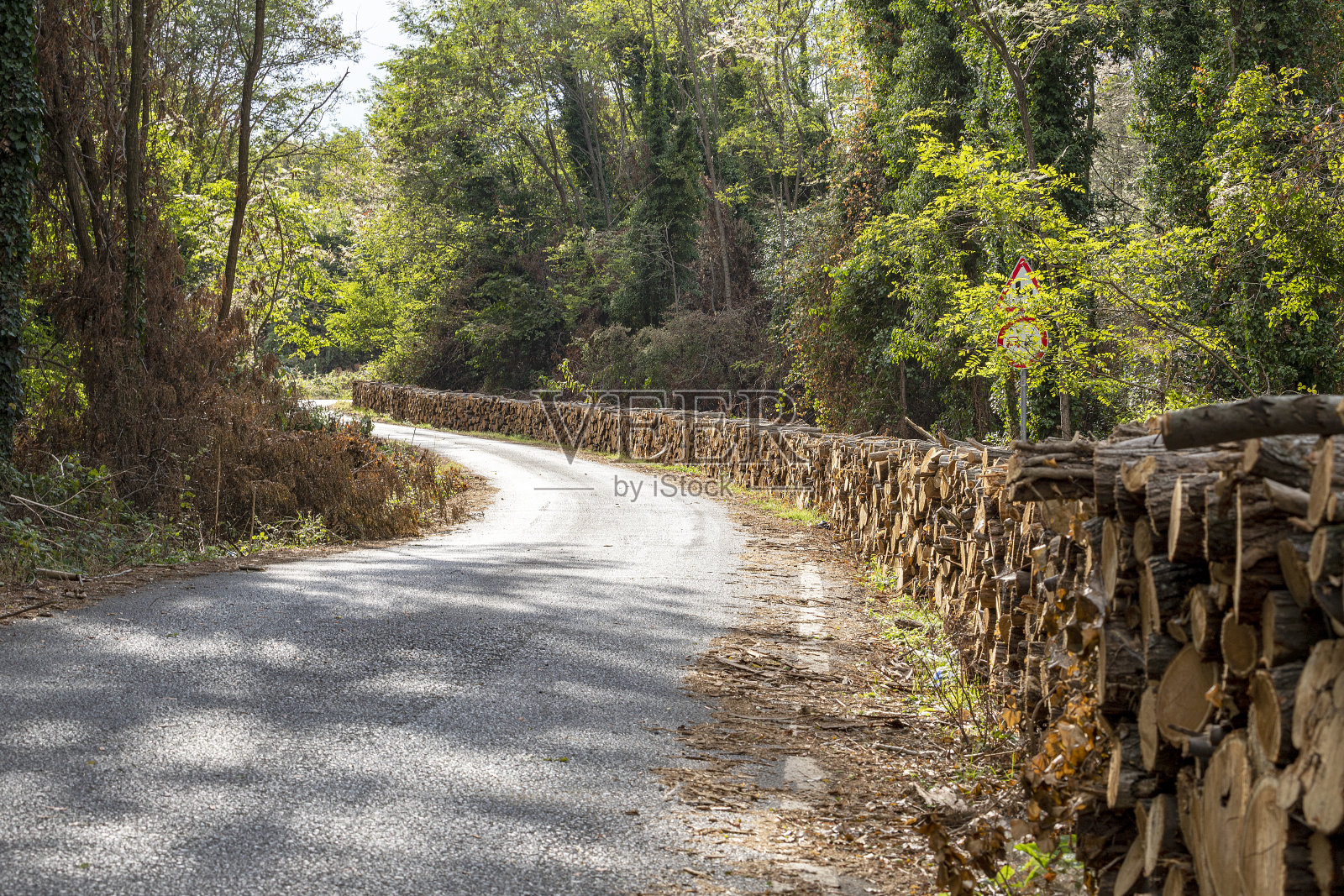 日志。照片摄影图片