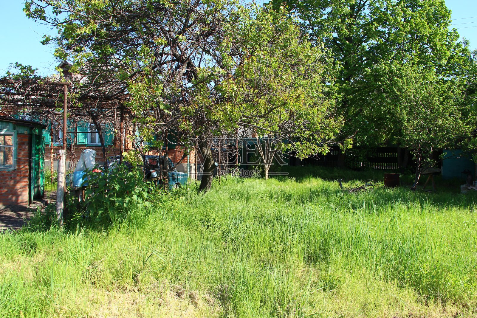 菜园子里长满了野草照片摄影图片