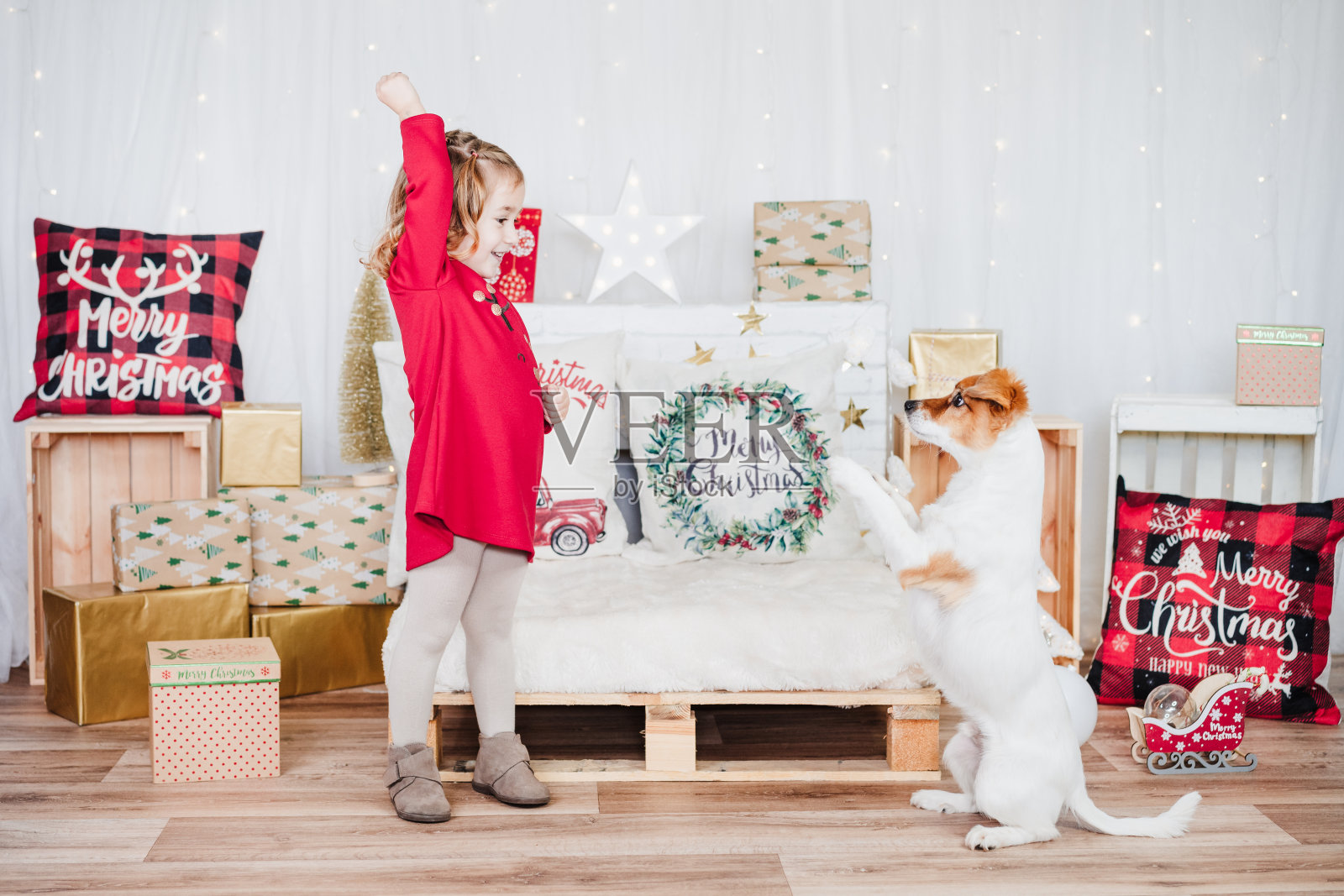 快乐的小女孩在家陪着杰克罗素狗。孩子们穿着红色的圣诞礼服在家里过圣诞装饰。节日的概念照片摄影图片