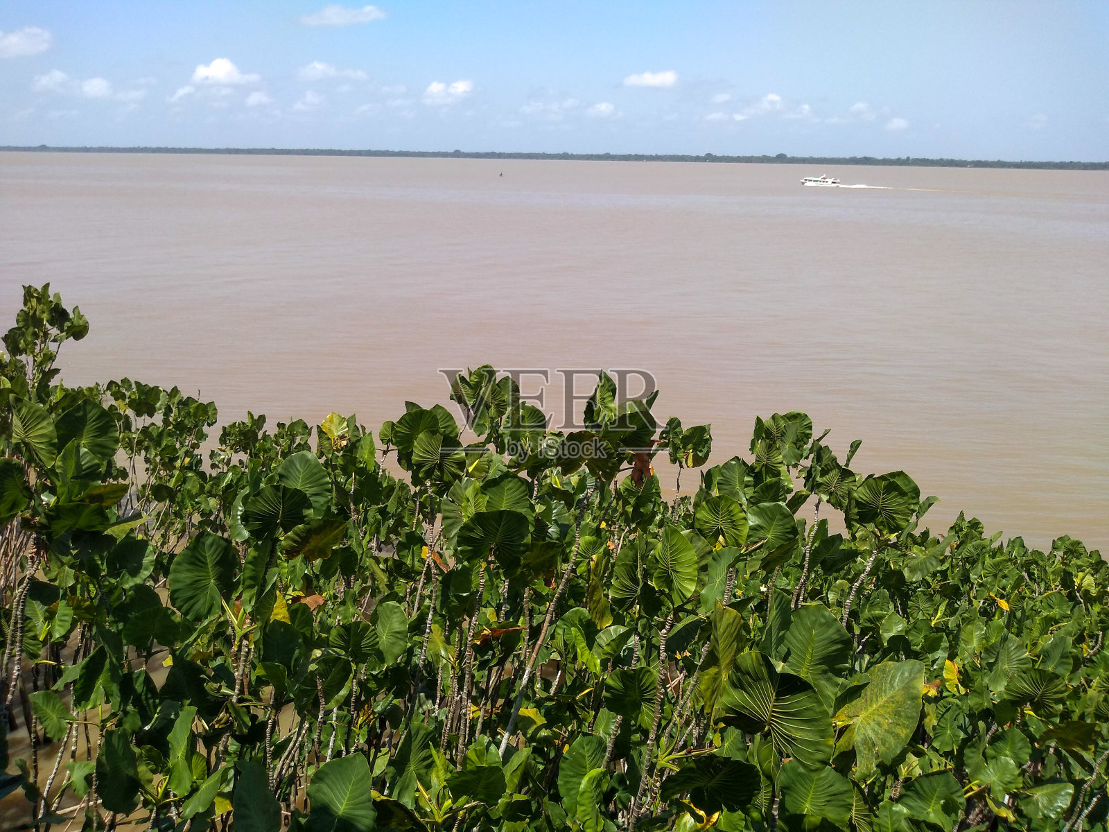 Guamá河的景色，沐浴在巴西城市Belém。照片摄影图片