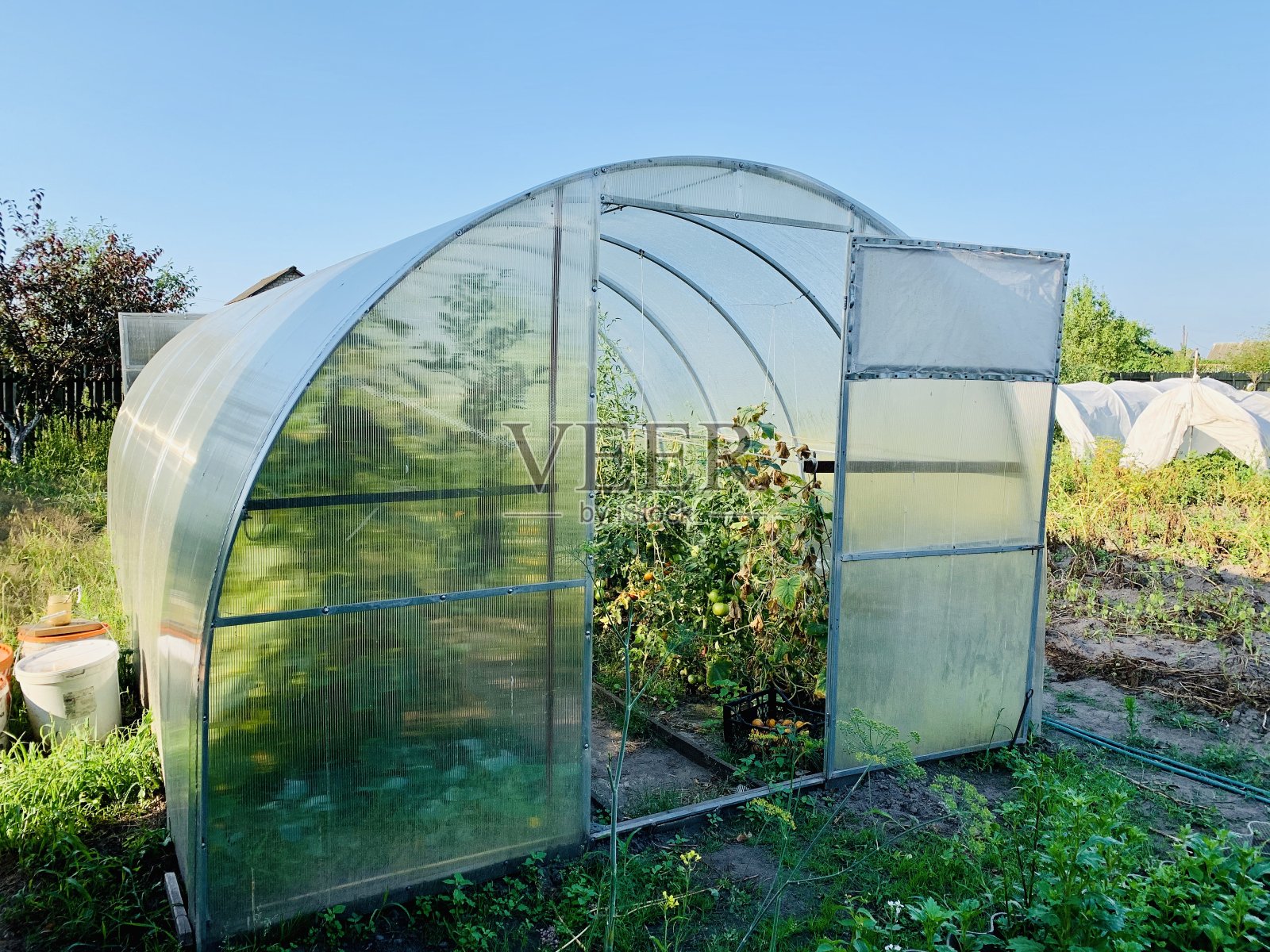 花园里的塑料温室。在温室里种植蔬菜和水果。温室。照片摄影图片