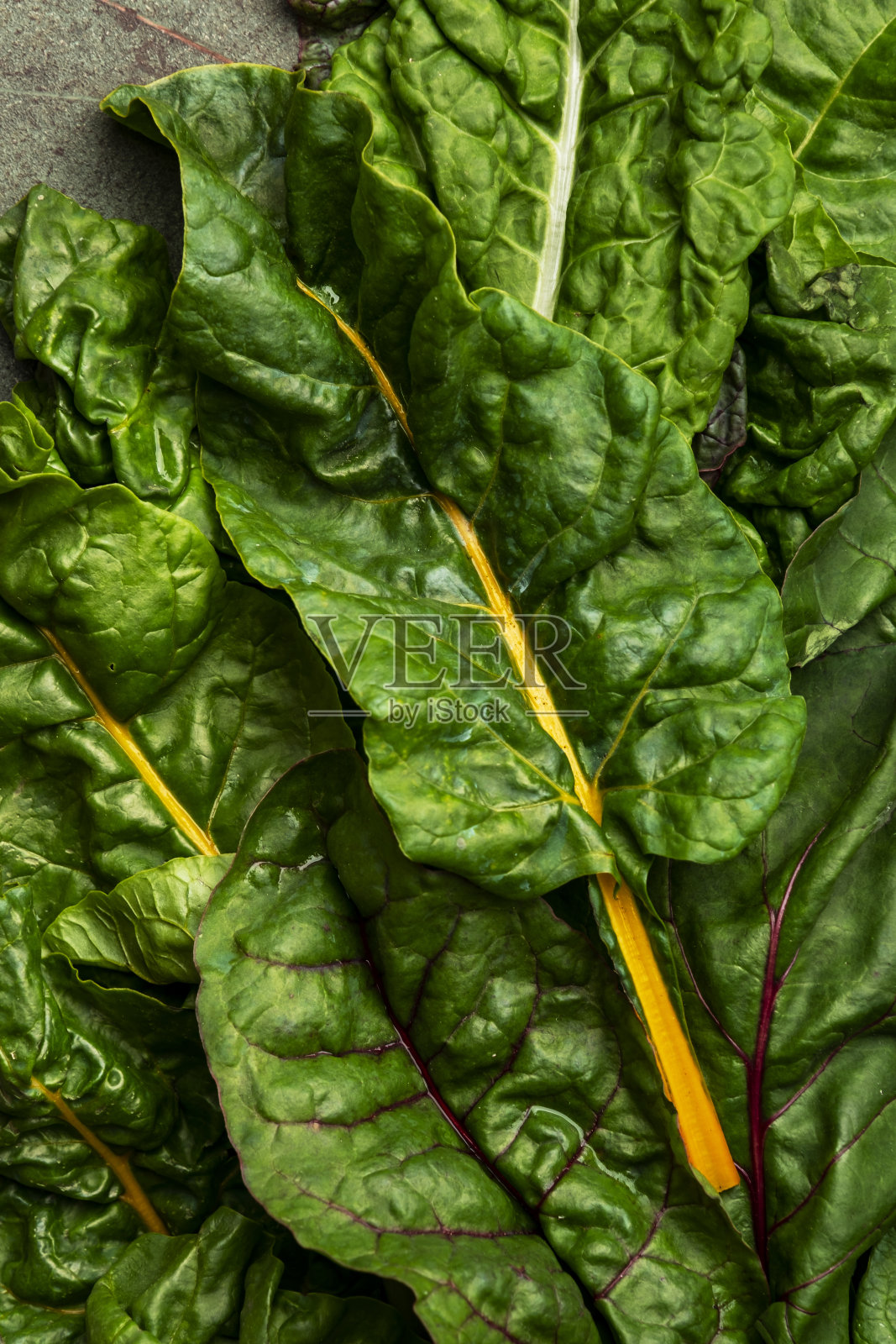 彩虹瑞士甜菜叶生锈的背景，生绿叶蔬菜，顶视图，复制空间照片摄影图片