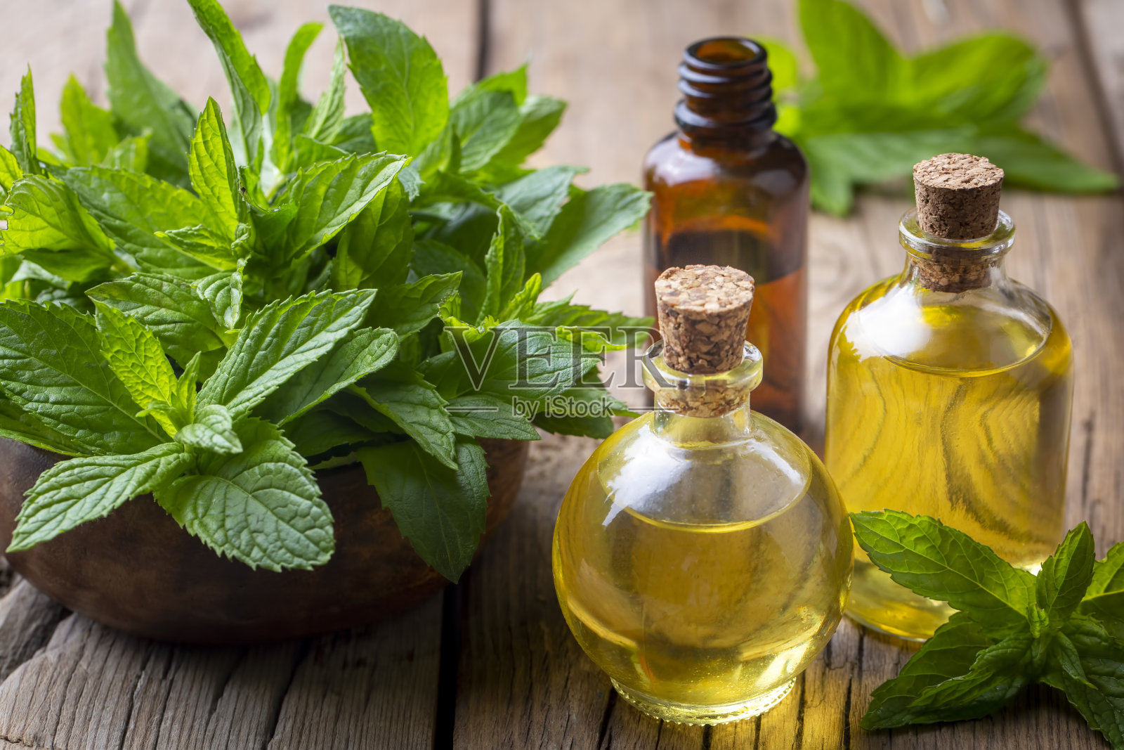 新鲜薄荷和薄荷油照片摄影图片