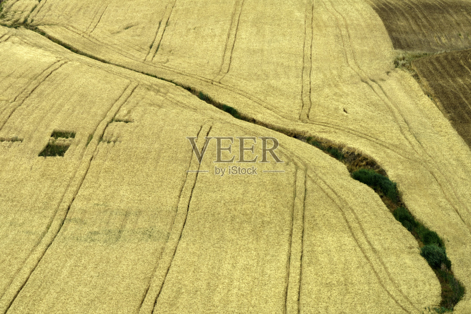 意大利南部，从Termoli到Serracapriola的沿途景观照片摄影图片