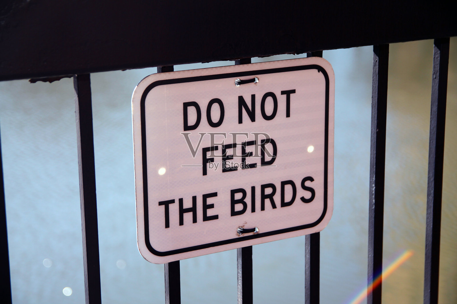 不要喂鸟，白色的标志挂在黑色的格子上河走照片摄影图片