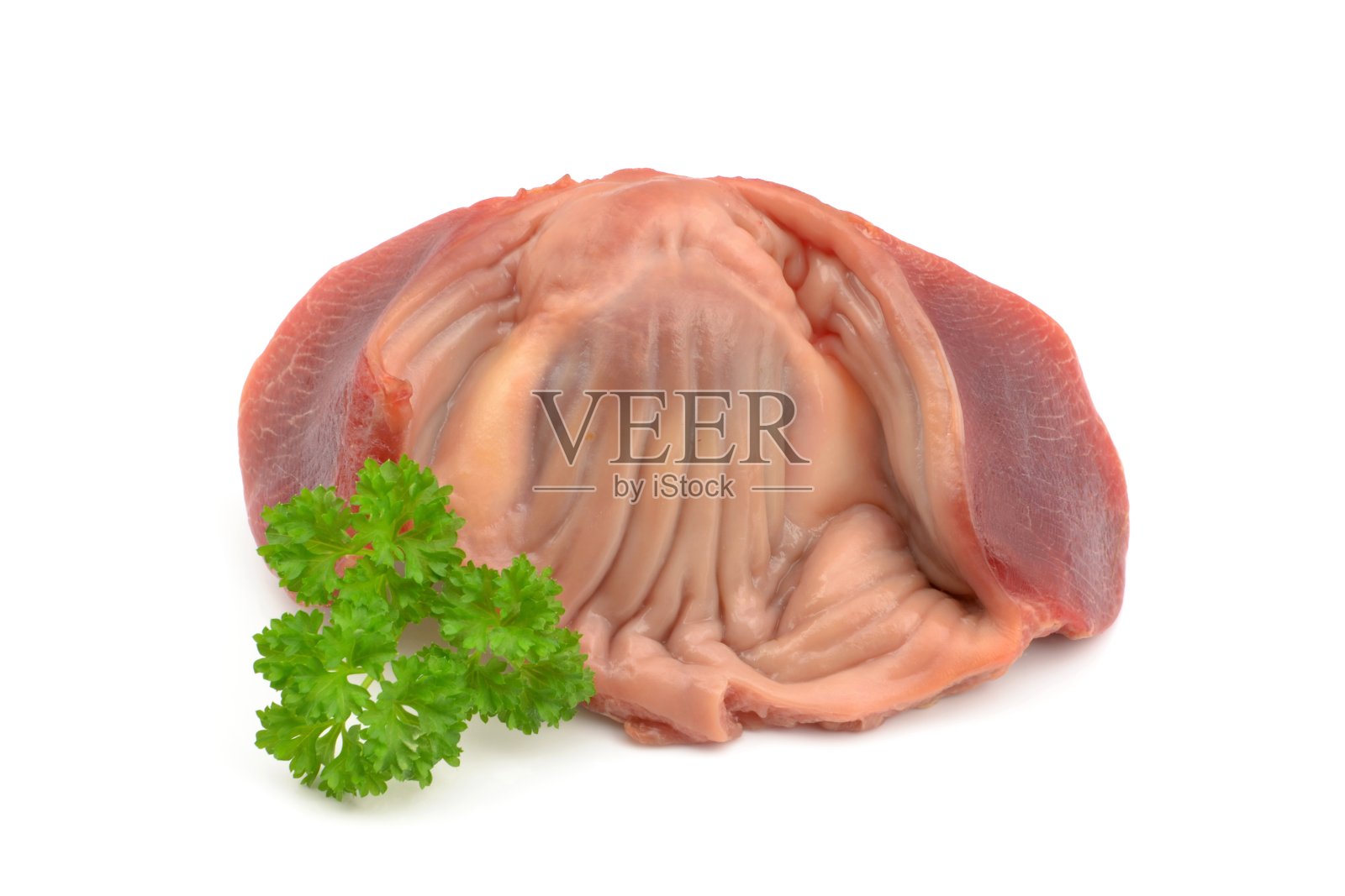 土耳其的胃照片摄影图片