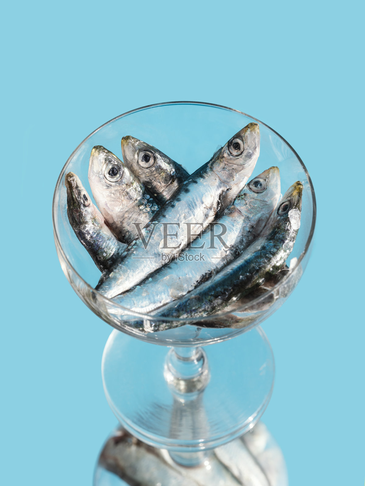 (Engraulis encrasicolus)新鲜银白色凤尾鱼，盛于玻璃杯中，蓝色底色。富含维生素B的鱼，味道鲜美照片摄影图片