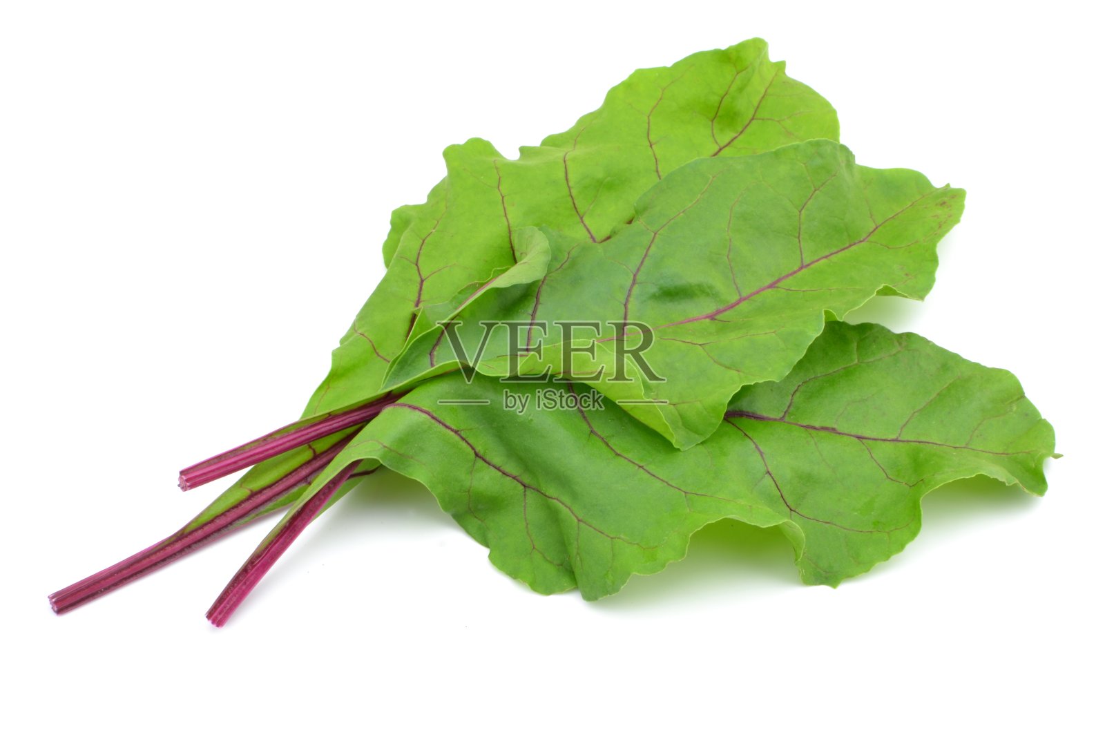 甜菜叶子照片摄影图片