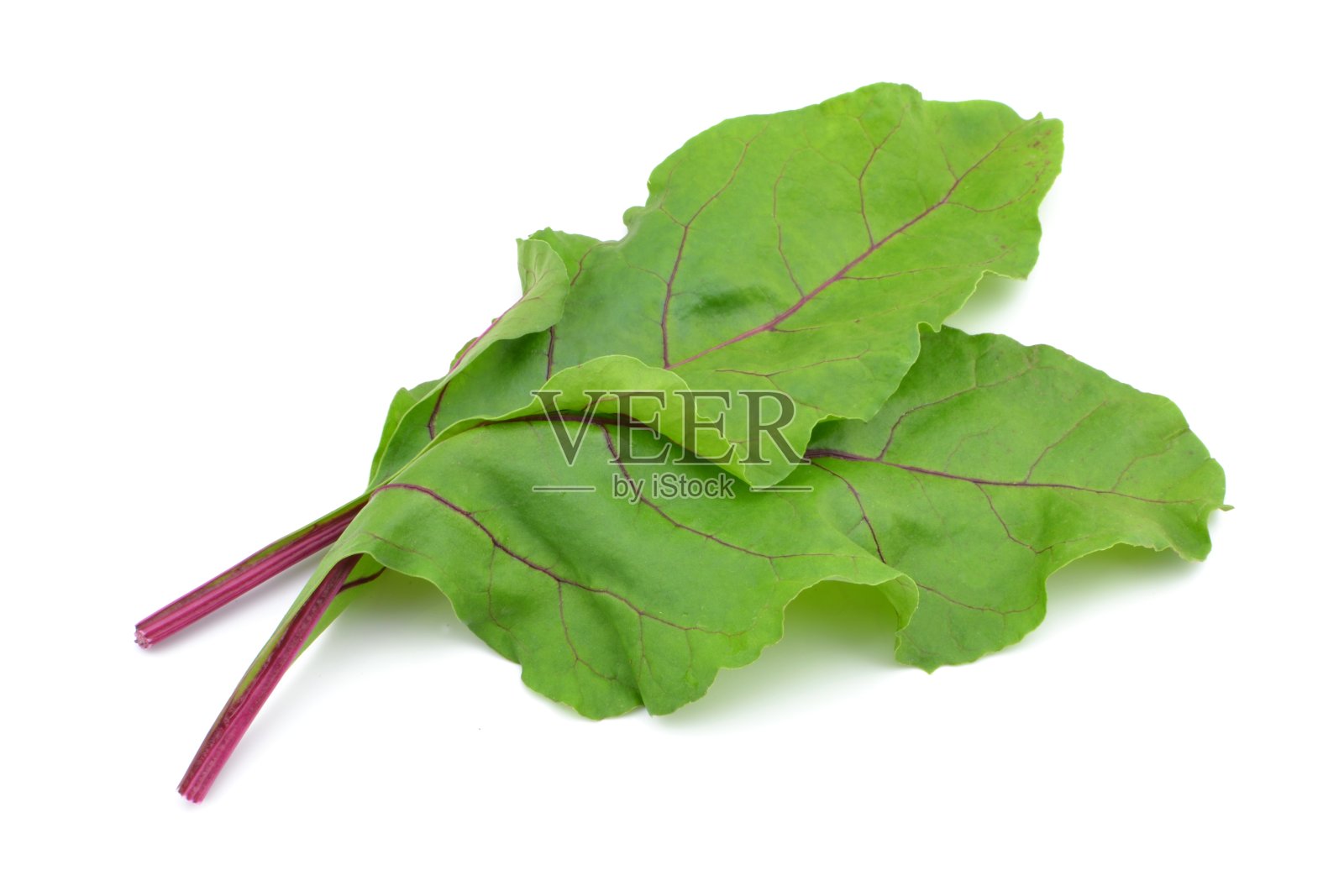 甜菜叶子照片摄影图片