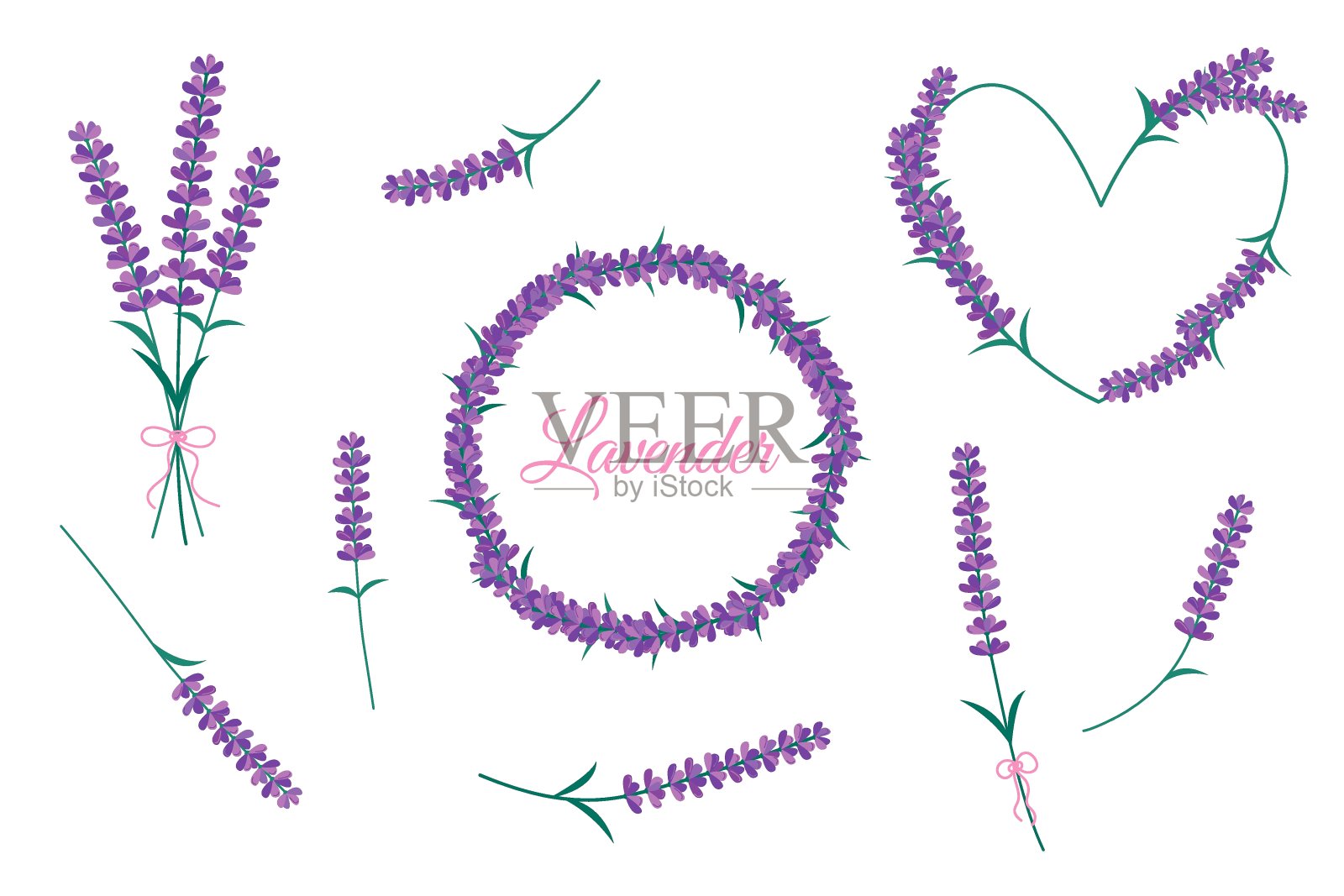 薰衣草花孤立在白色背景上。向量集紫色薰衣草花，花束和花的框架。圆形和心形边界插画图片素材