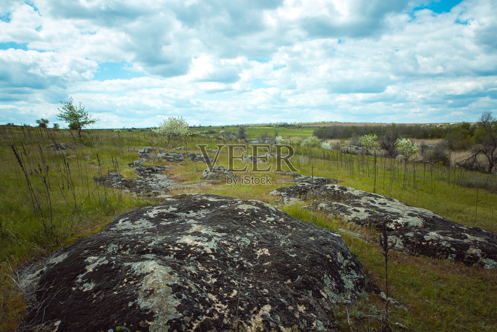 古老的石头在一大片黄绿色的田野上，映衬着异常美丽的蓝天。乌克兰平原的风景照片摄影图片