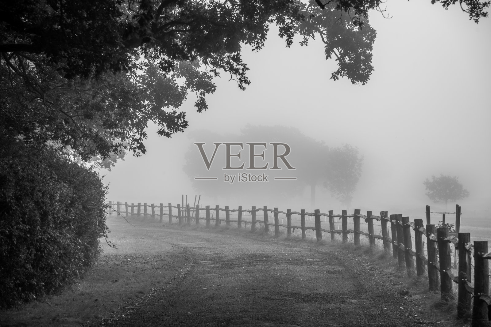 雾蒙蒙的早晨，在英国西苏塞克斯郡比林斯赫斯特的农场入口处。照片摄影图片