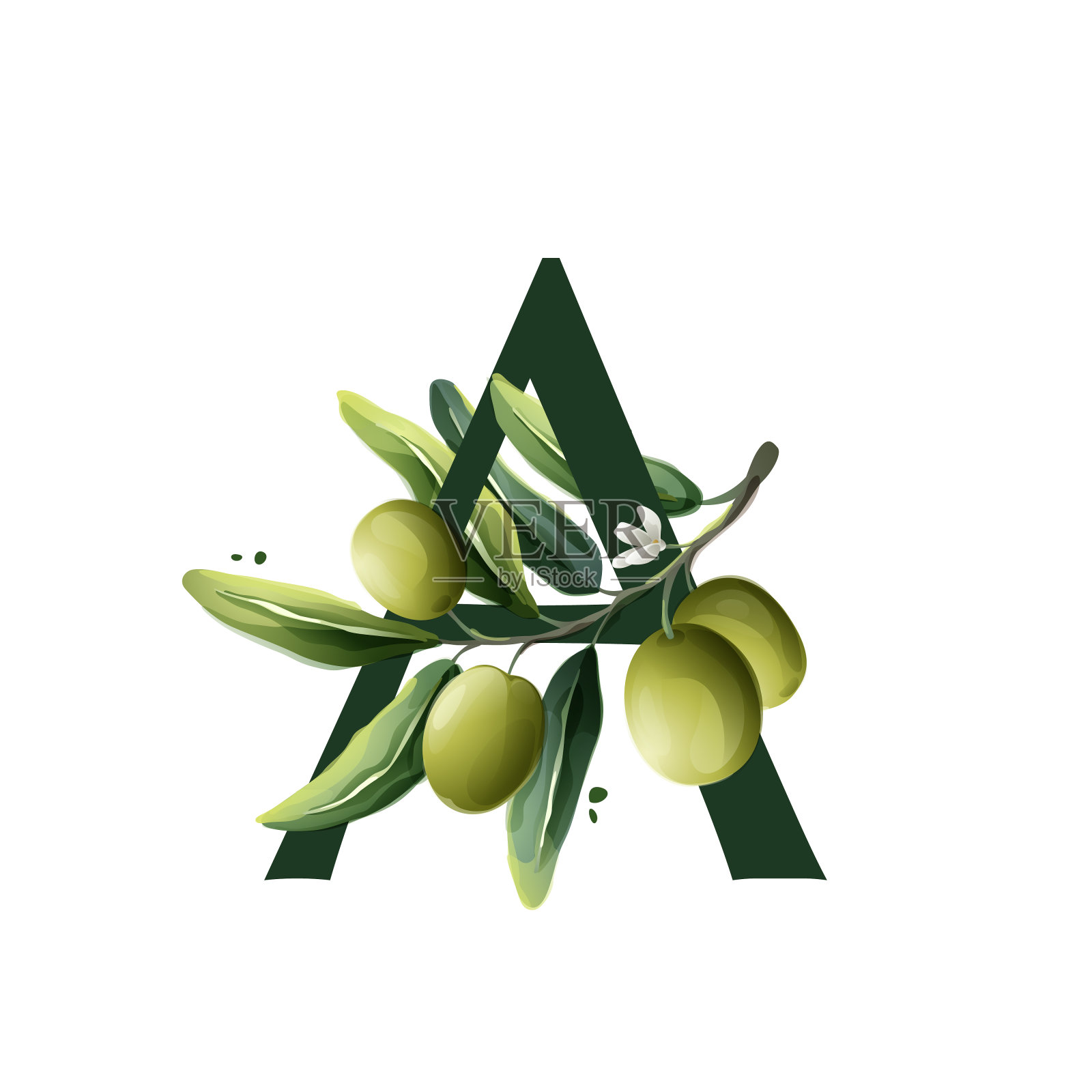 一个字母标志在水彩风格与橄榄枝。插画图片素材