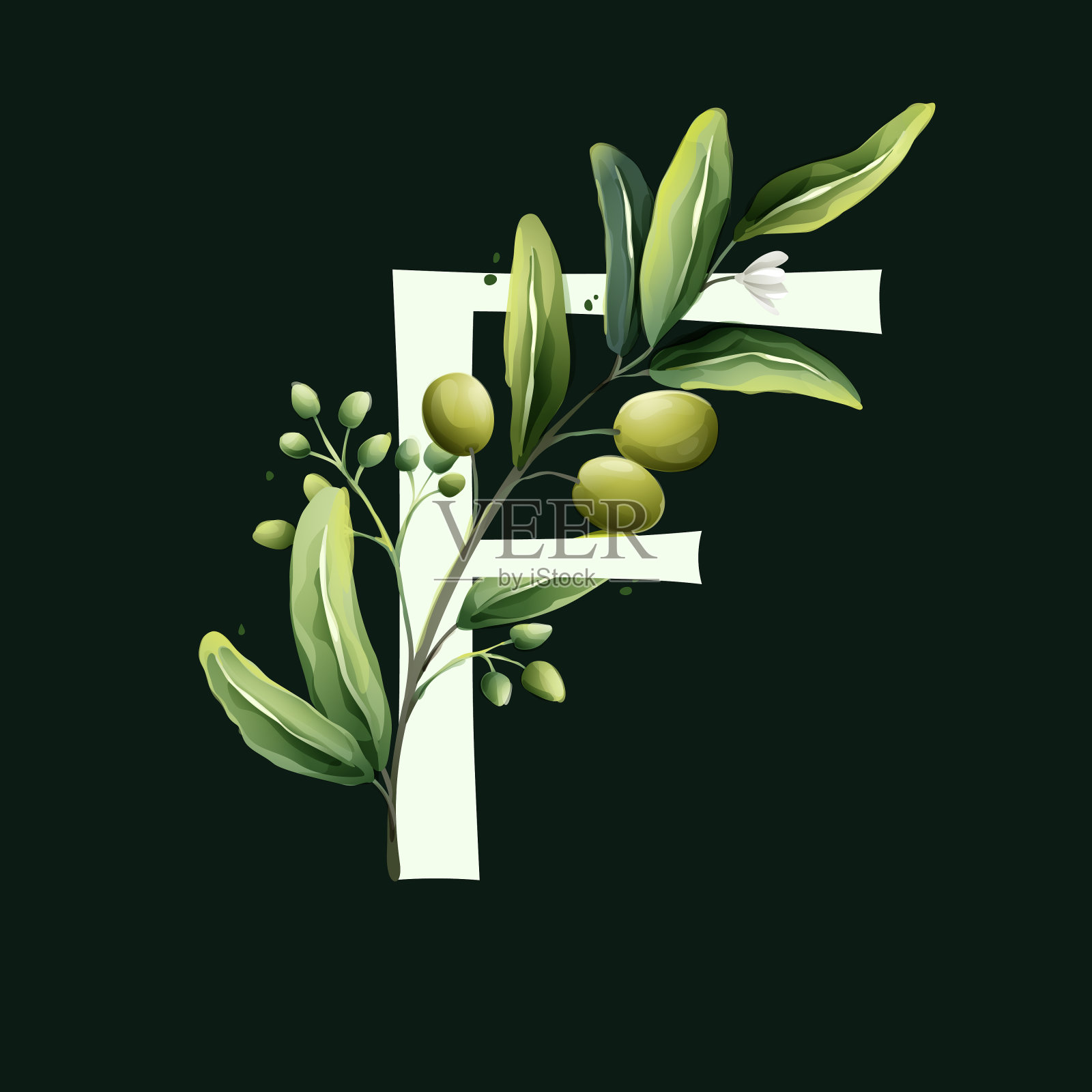 F字母标志在水彩风格与橄榄枝。插画图片素材
